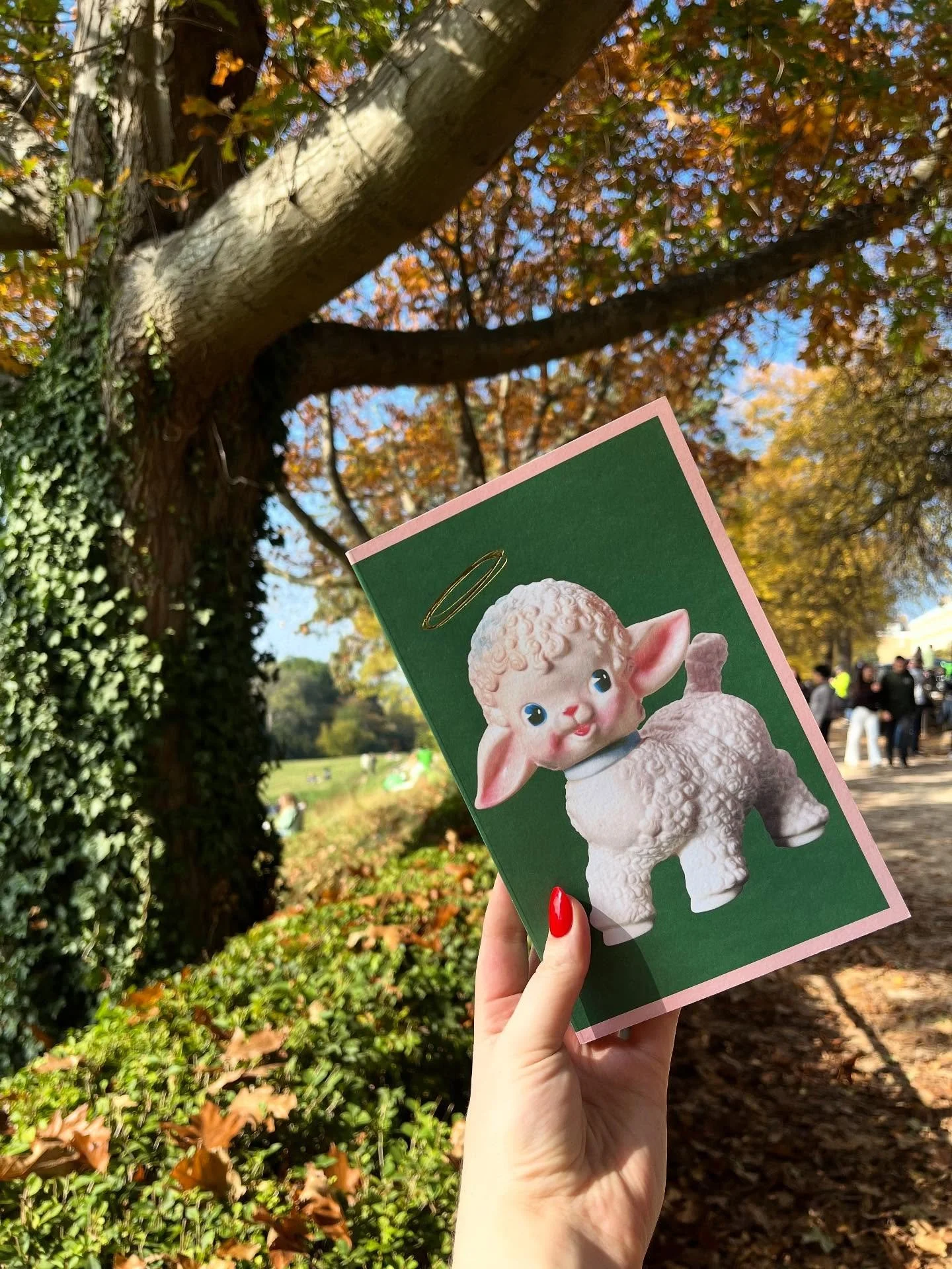 New books and autumnal walks!
This is my god damn season! 🍂🍁🥮
I was lucky enough to get my mitts on the hotly anticipated Lost Lambs by Madeline Cash — I know, I know, I am the literary gods’ chosen one! THANK YOU @doubledayukbooks ?