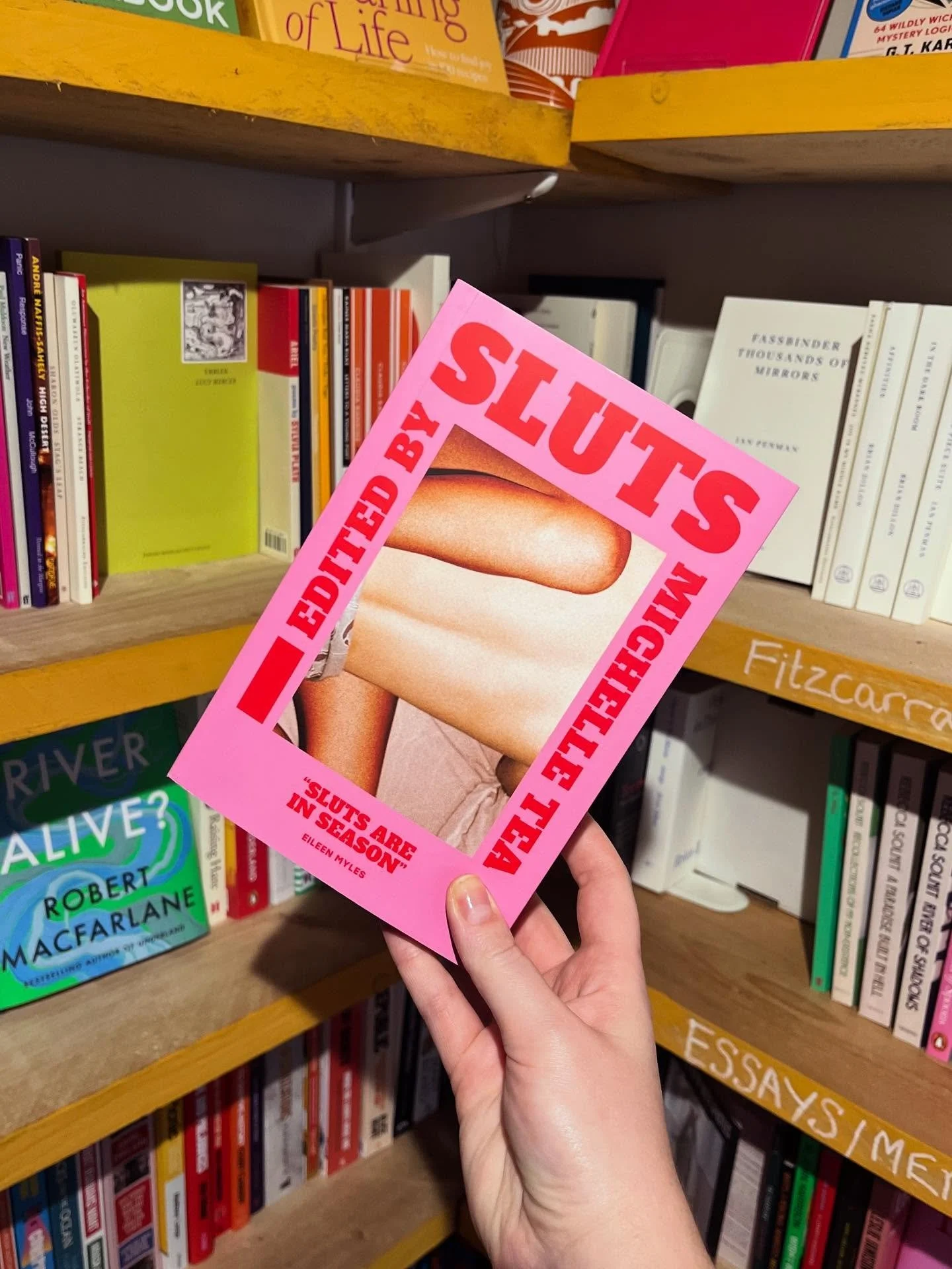 I don’t always judge a book by its title but this one I absolutely did and it went straight in my basket!
“Boyfriends masquerade as straight bros to have fun on an early internet porn site. Sex on Viagra; sex on acid. A lesbian bar sells