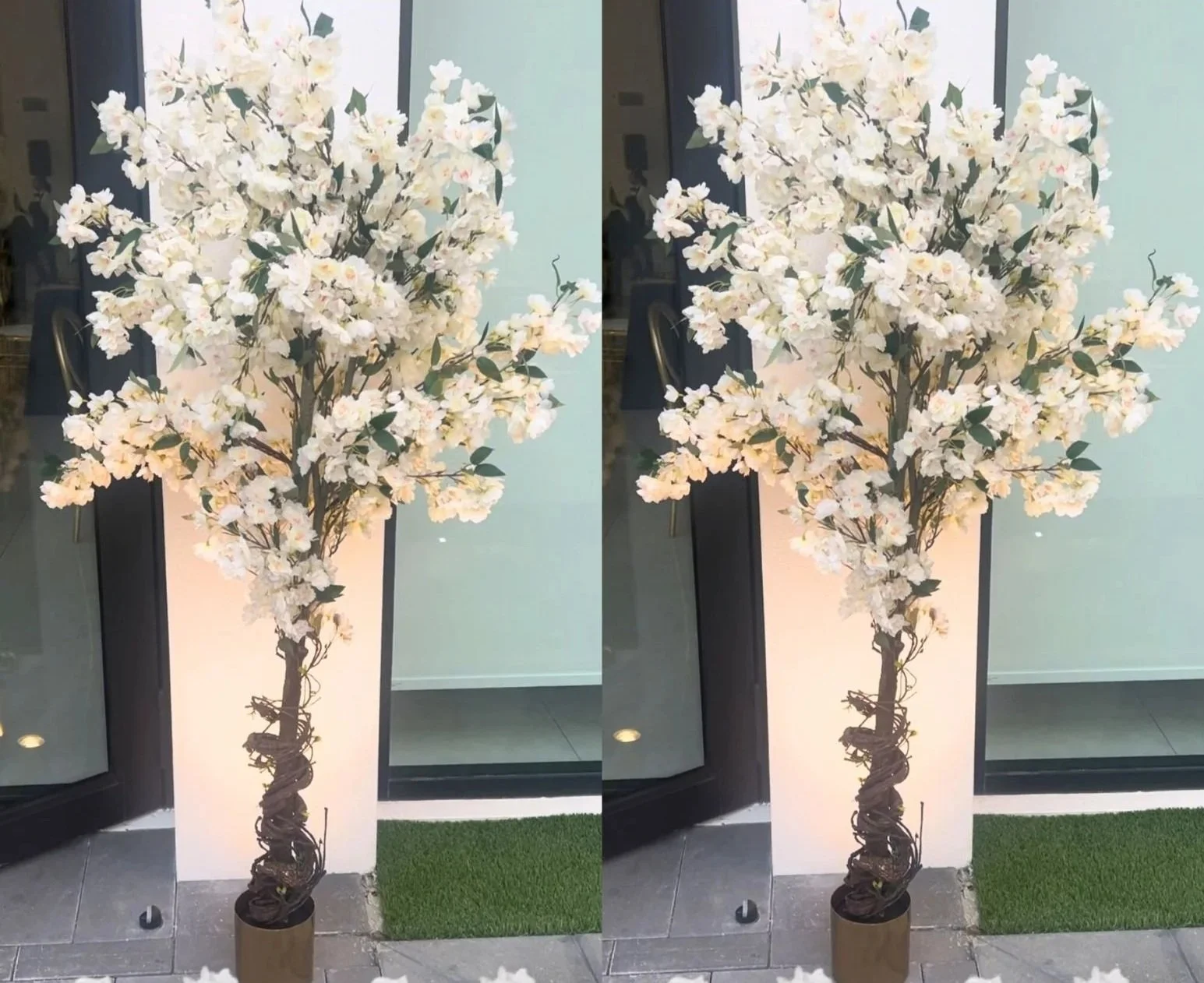 6ft Ivory Blossom Trees