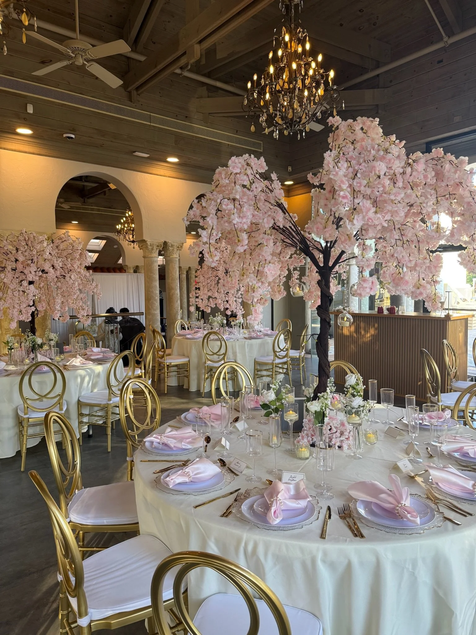 5ft Pink or White Blossom Trees