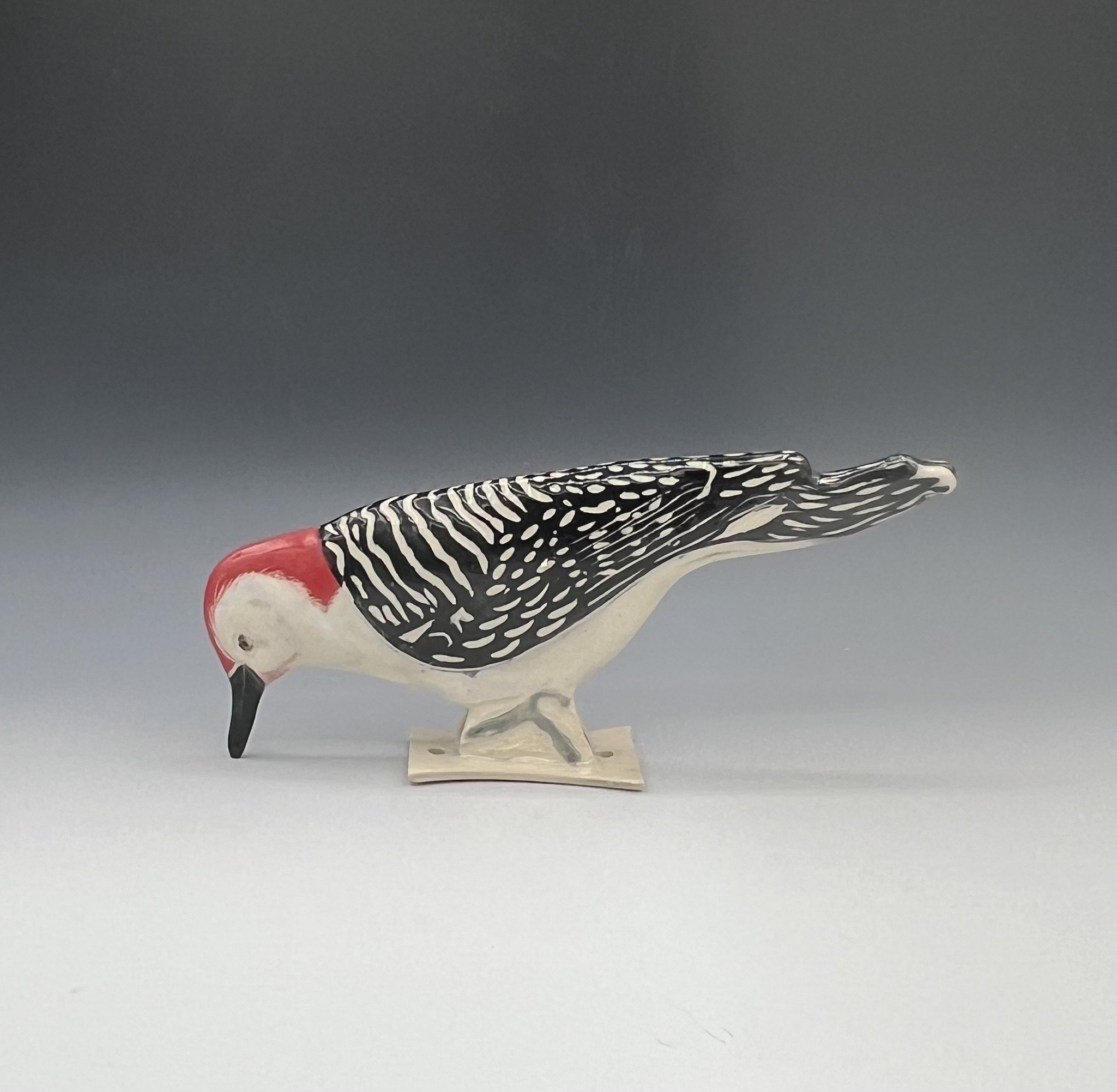 Red Bellied Woodpecker #2