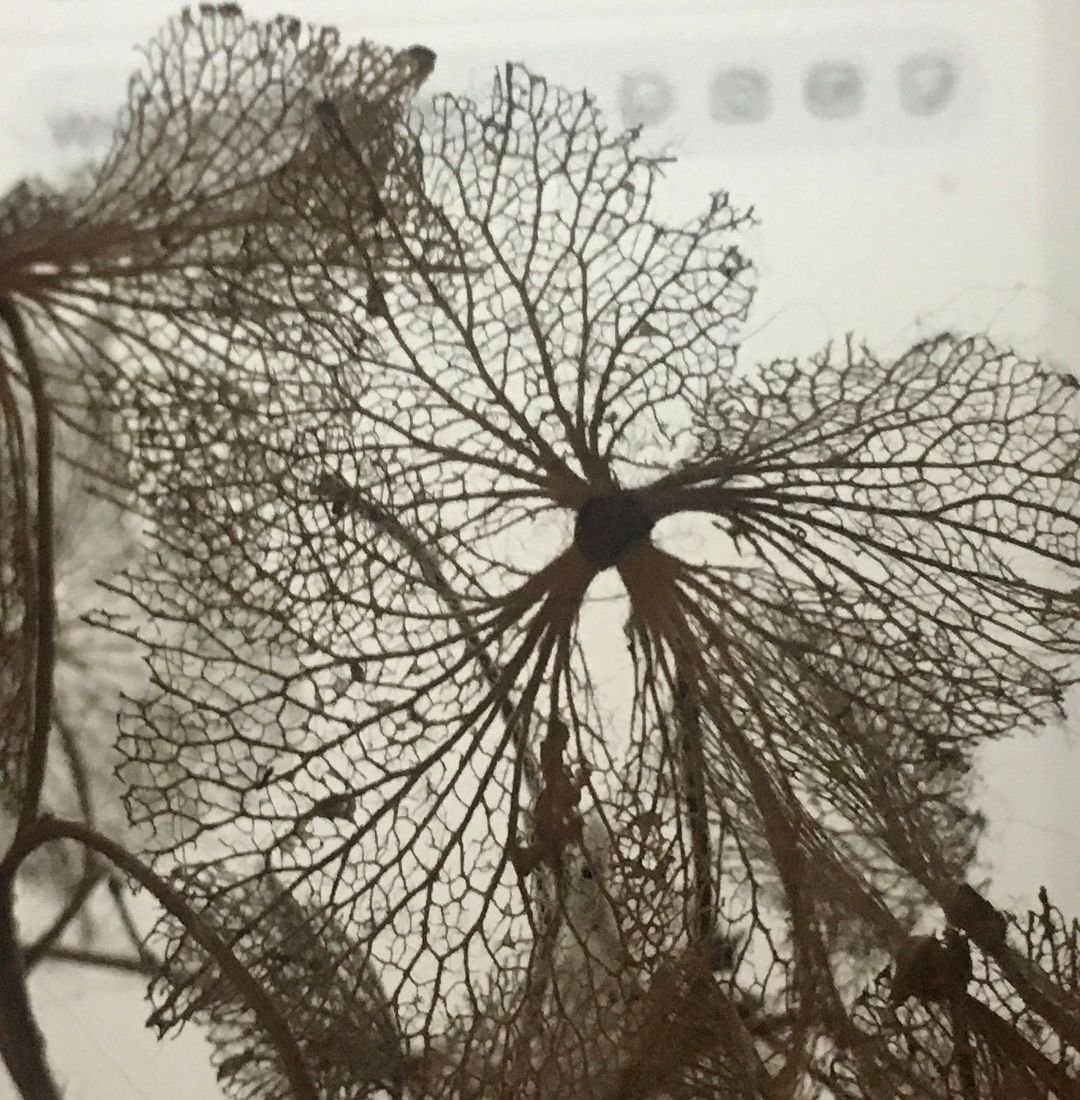 The complexity of life and the fragility of it, but the beauty of it too.