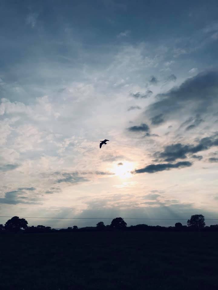 The Goose: This was literally taken the day after my Mum passed away and I walked about 10k as I didn’t know what else to do. I still look at the picture now and again and it will always remind me that there is light through the darkness.