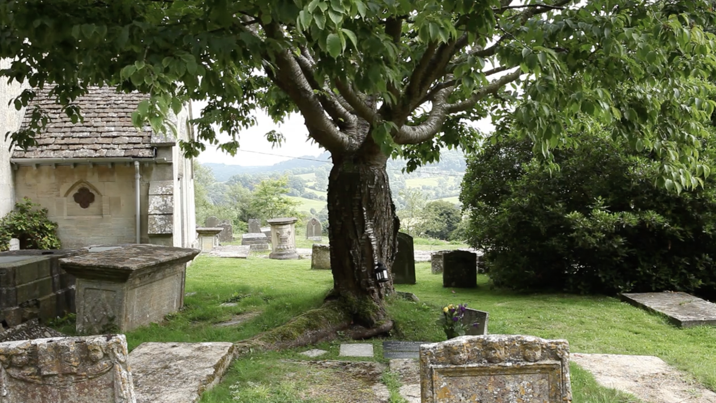 I Found A Small Lemon Tree: Film (2014)