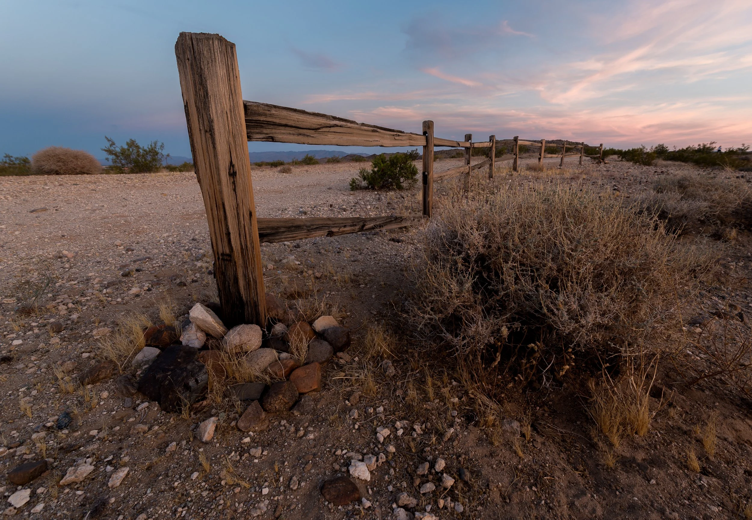Joshua Tree.jpg