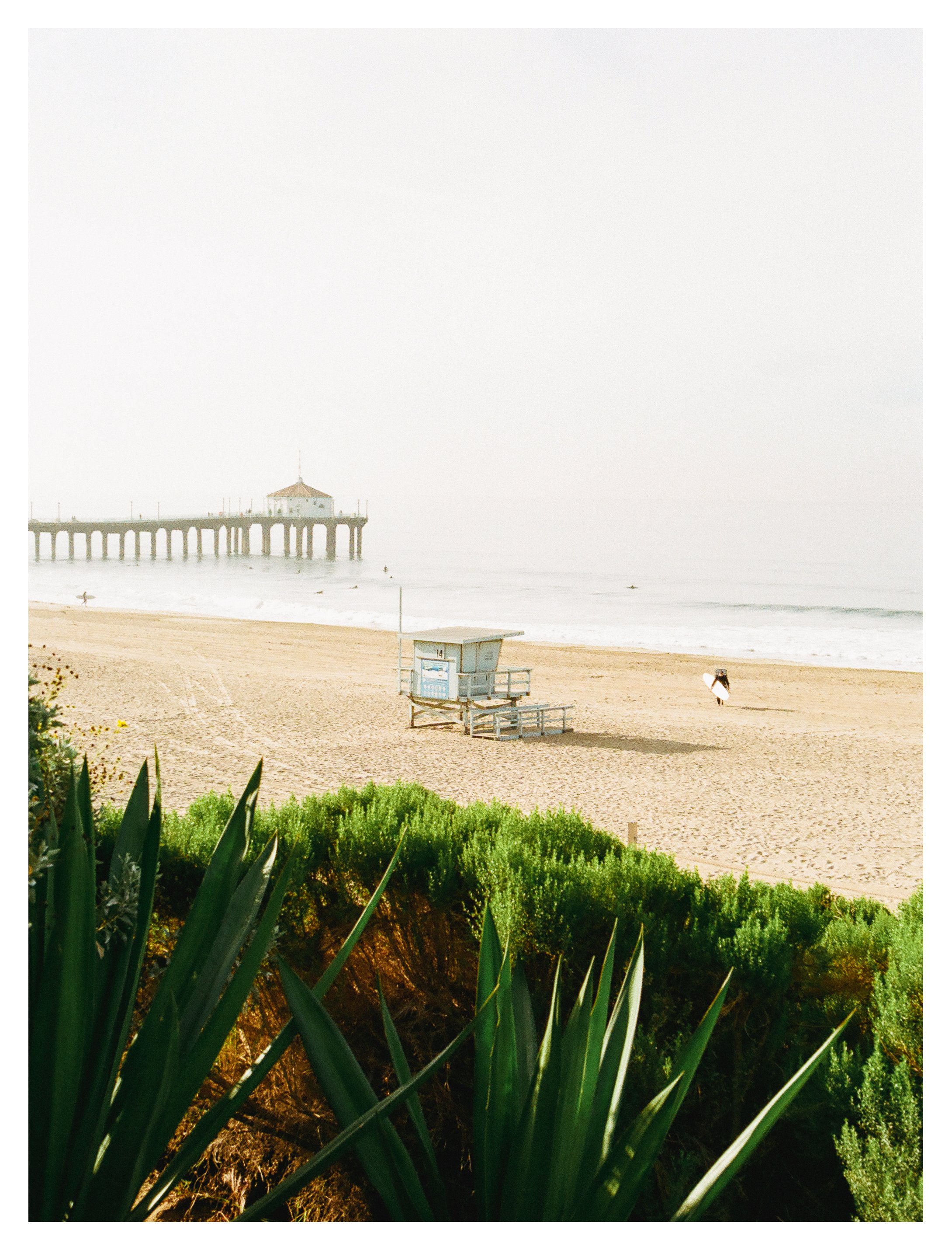 Film Shots Dec 18 Dev-2.jpg