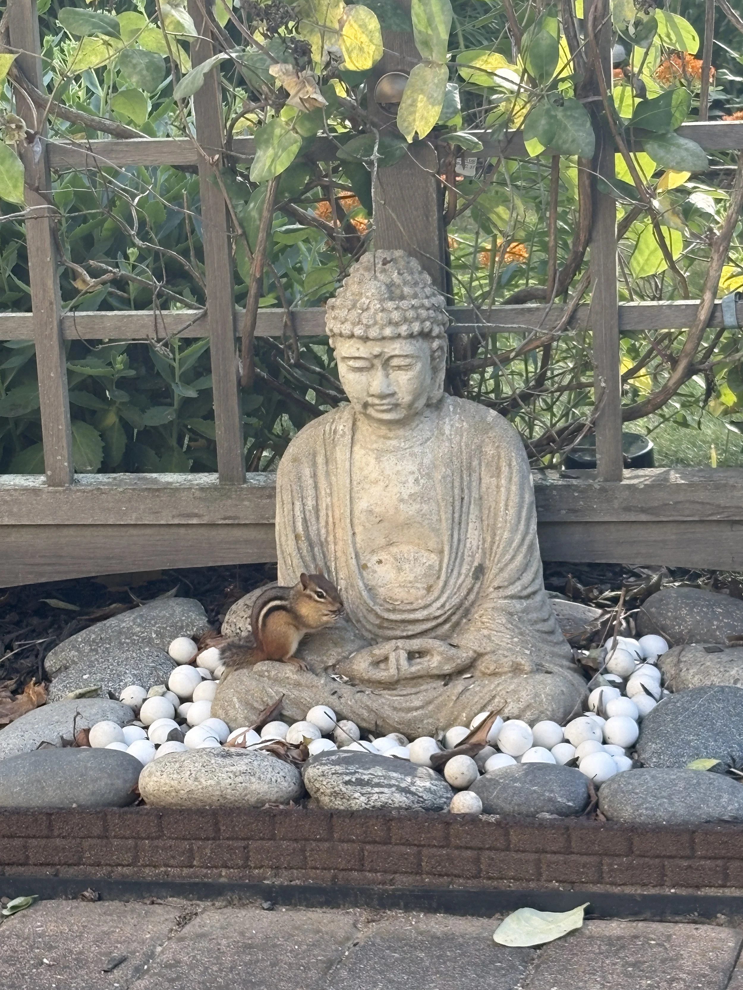 Listening to Your Body: A Simple Practice for Self-Care and Healing