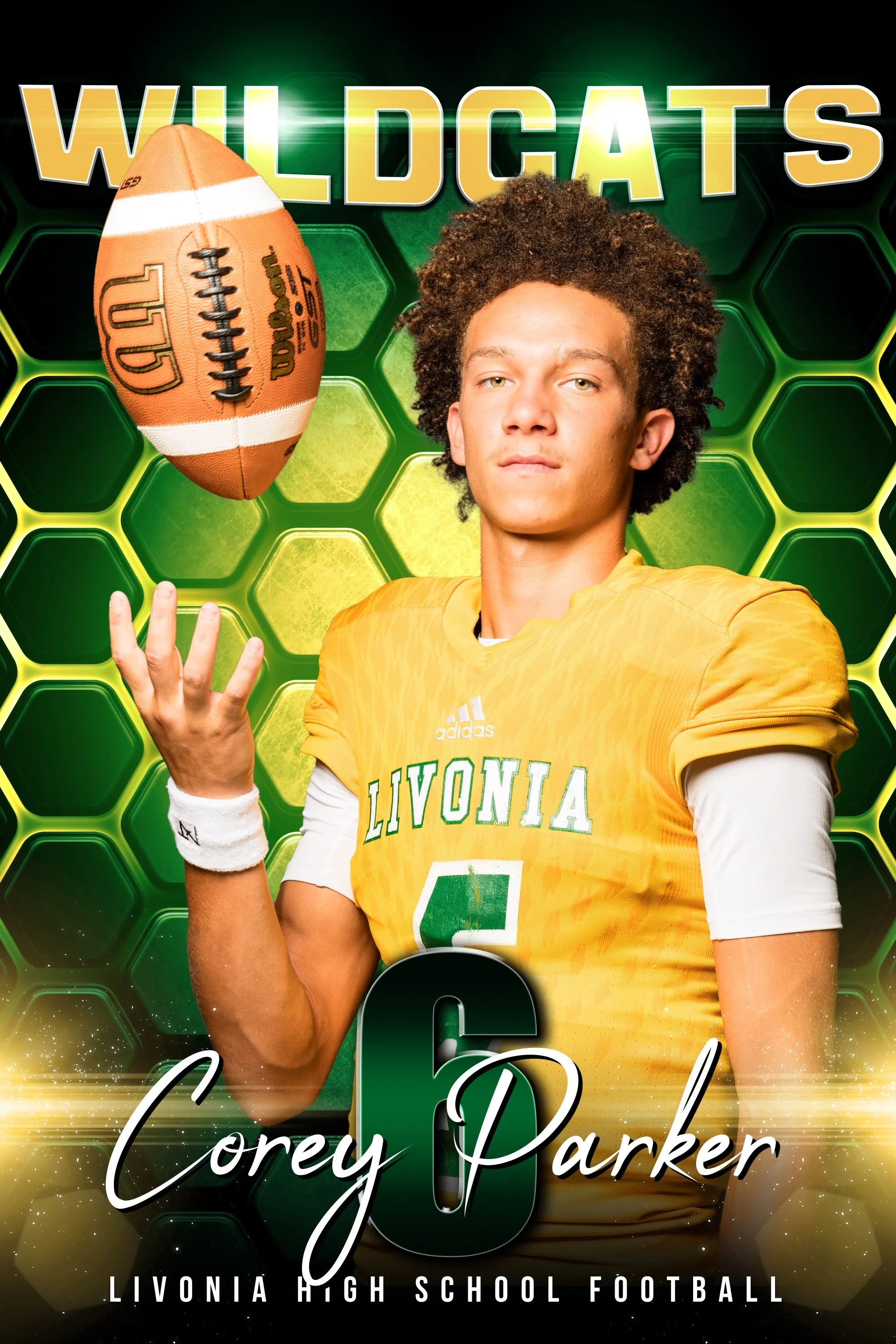 Livonia High School Team Photos