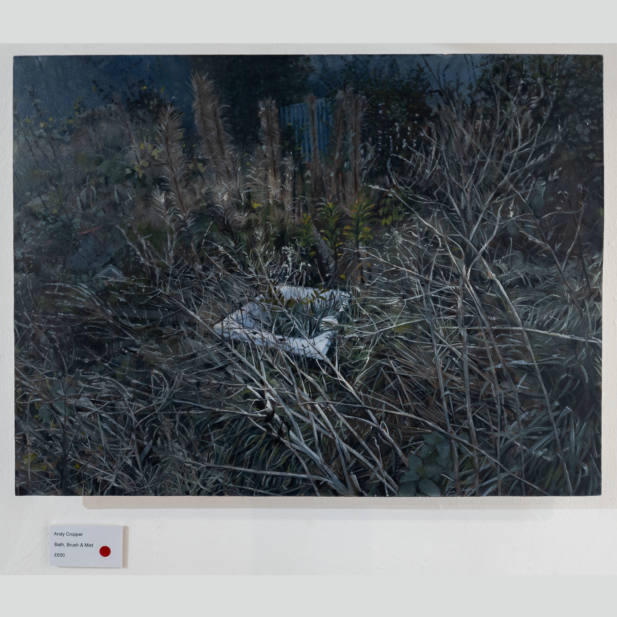 'Abandoned Bath In Landscape', AKA 'Ophelia', AKA 'Bath, Brush and Mist', 2015