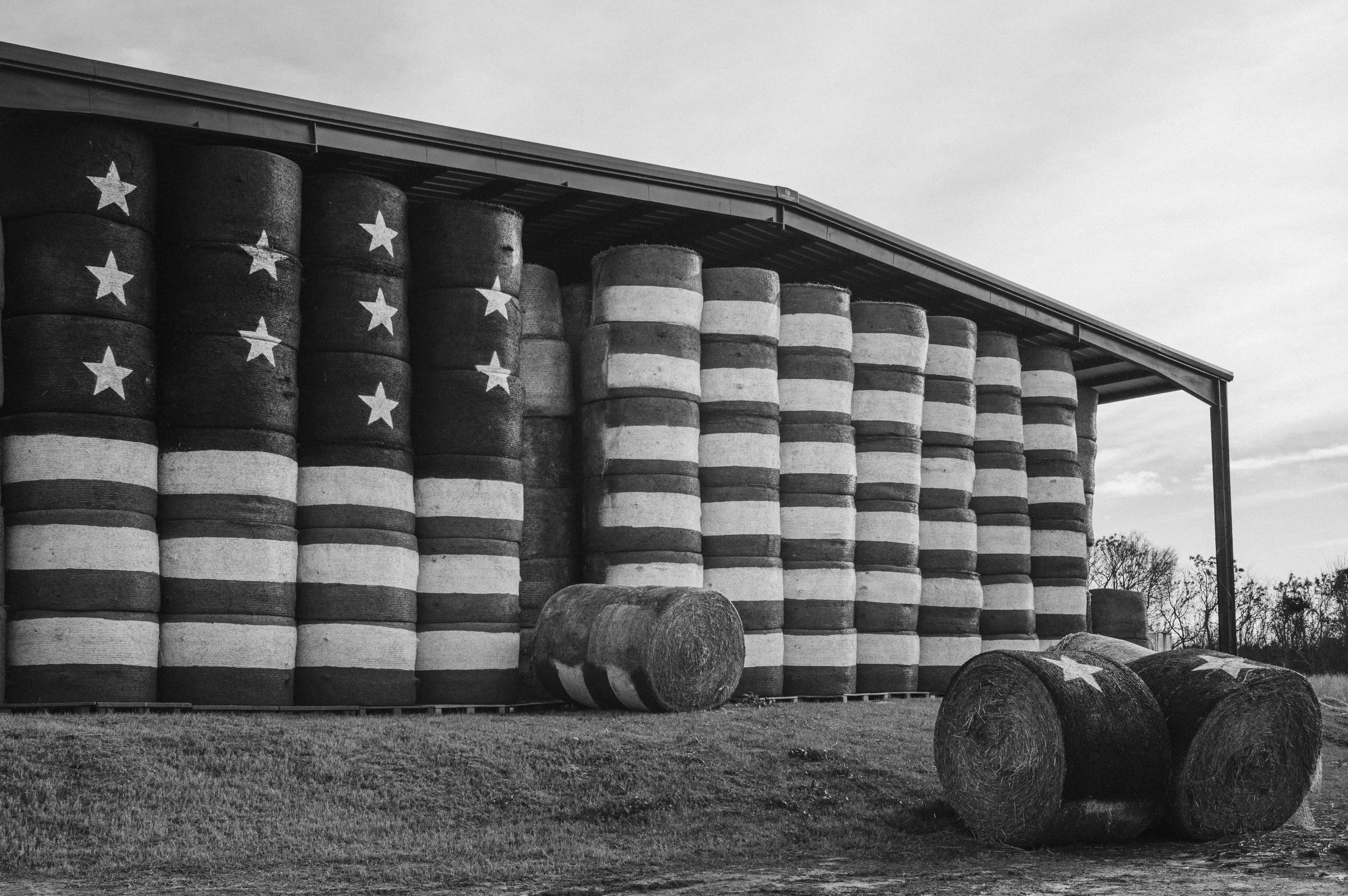 L1001876.jpg