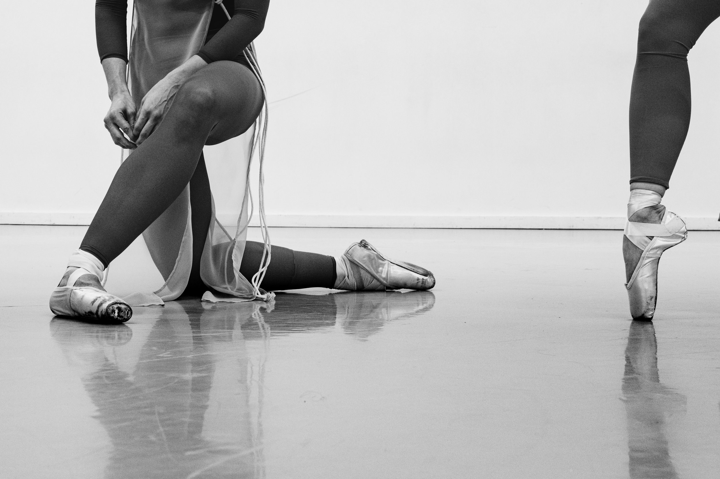 L1061435.jpg