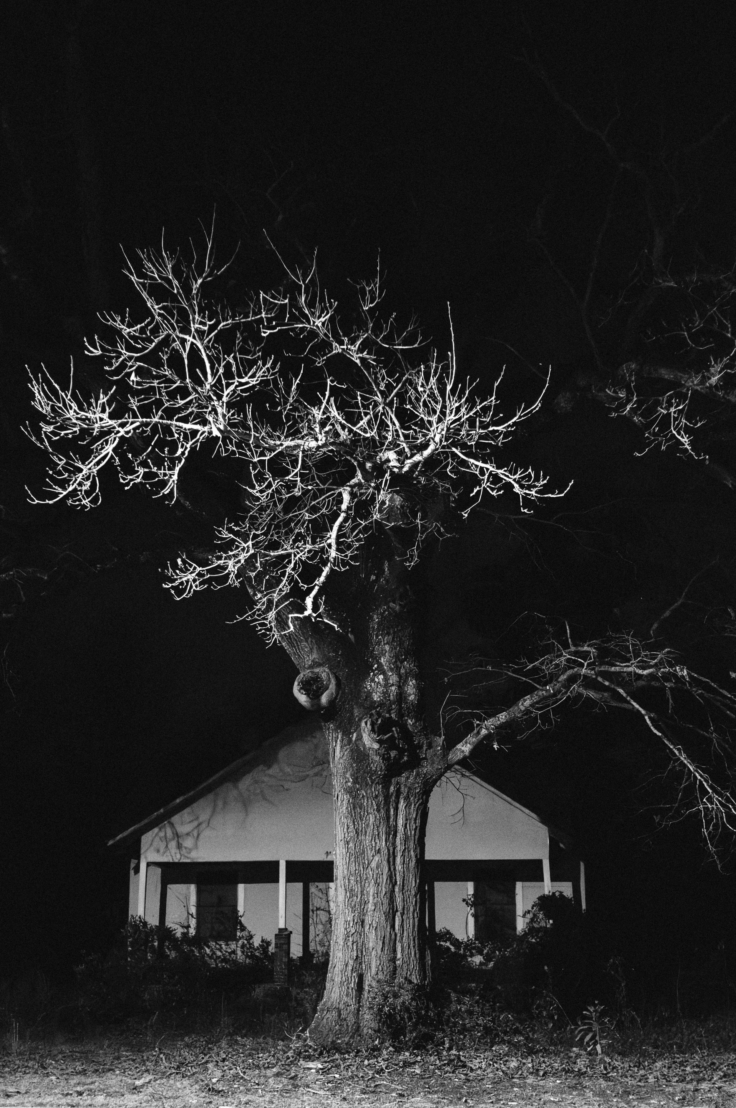 L1002091-Enhanced-NR.jpg