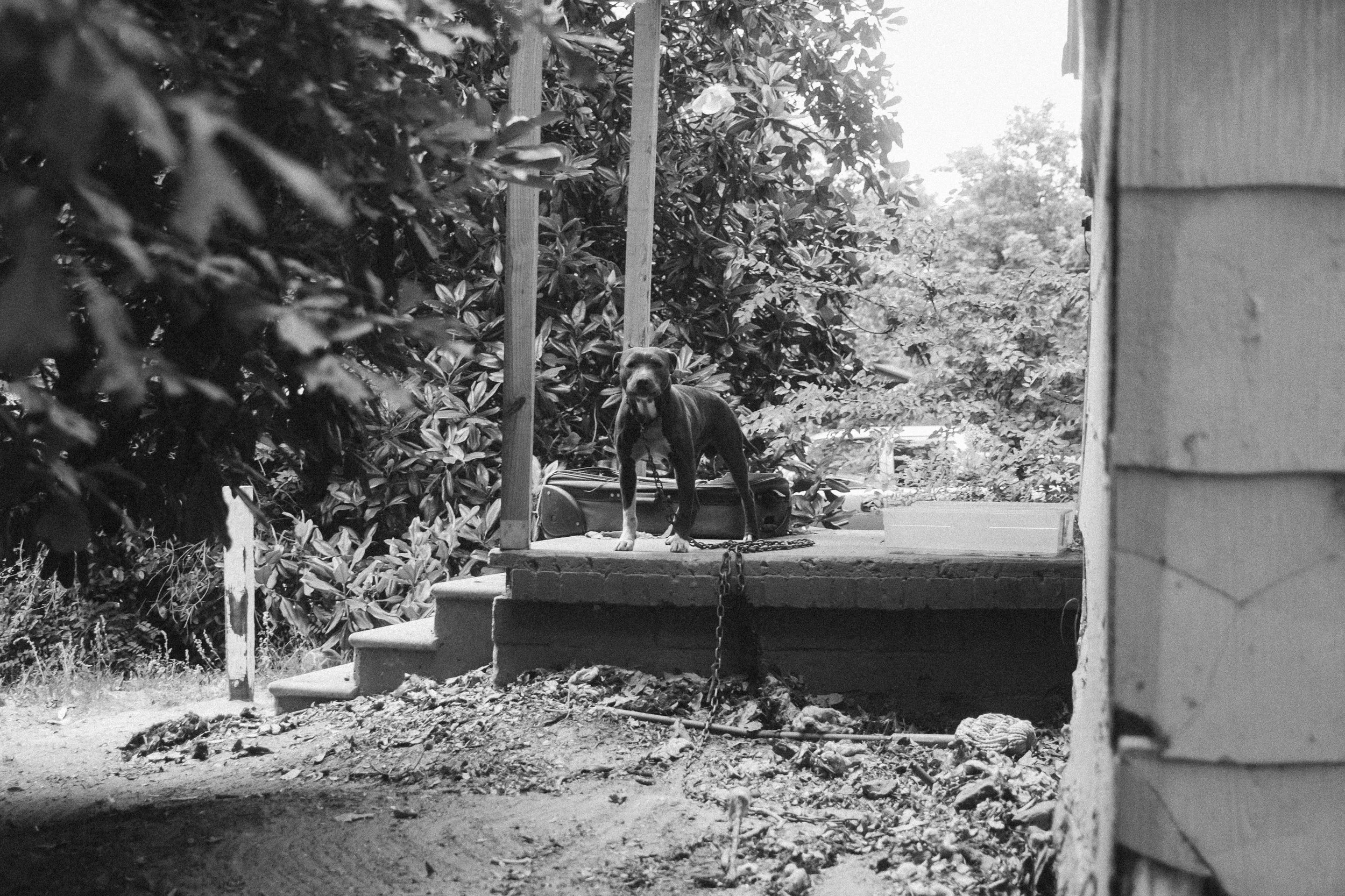 DSCF4754.jpg