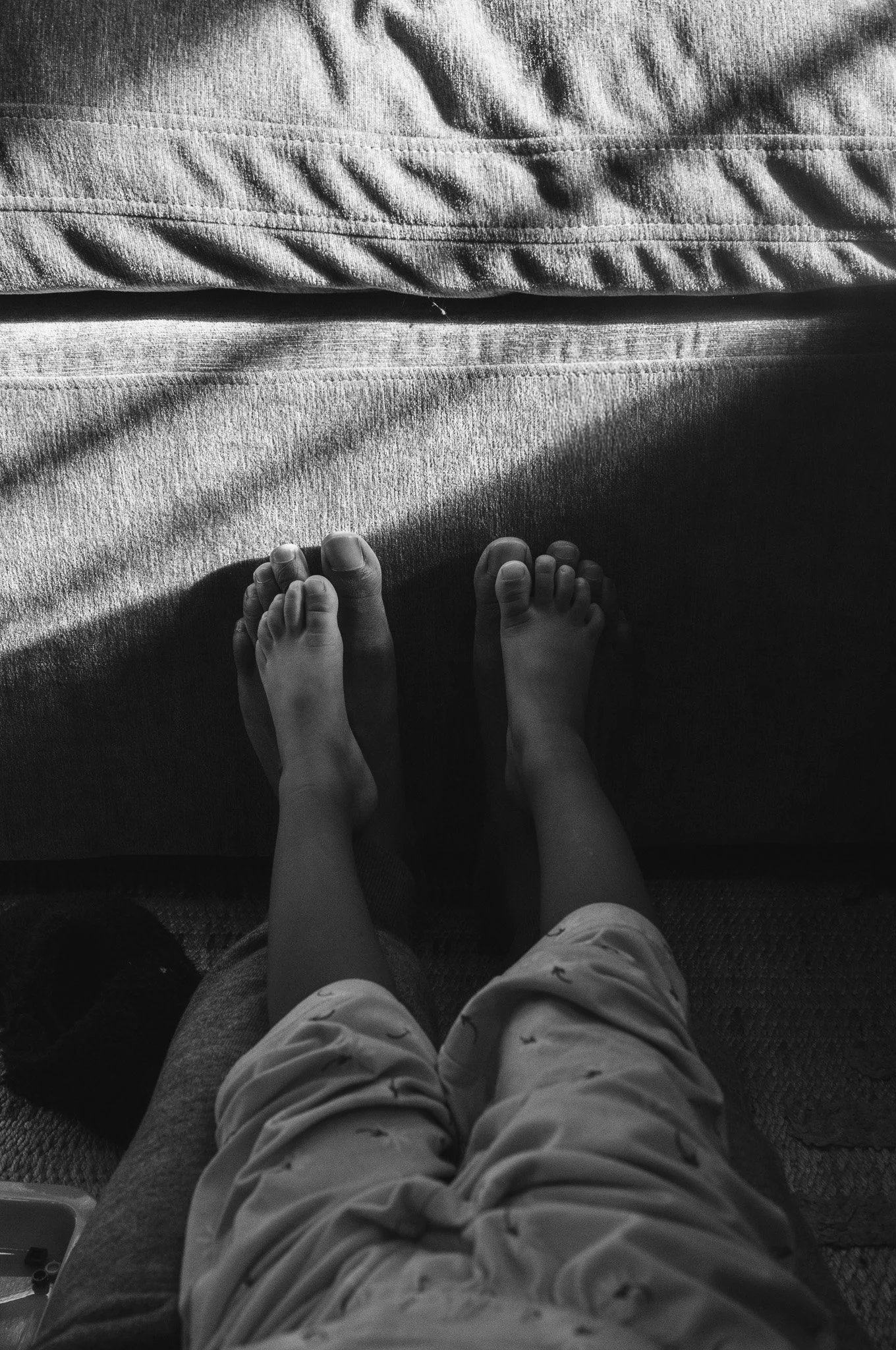 L1007411.jpg