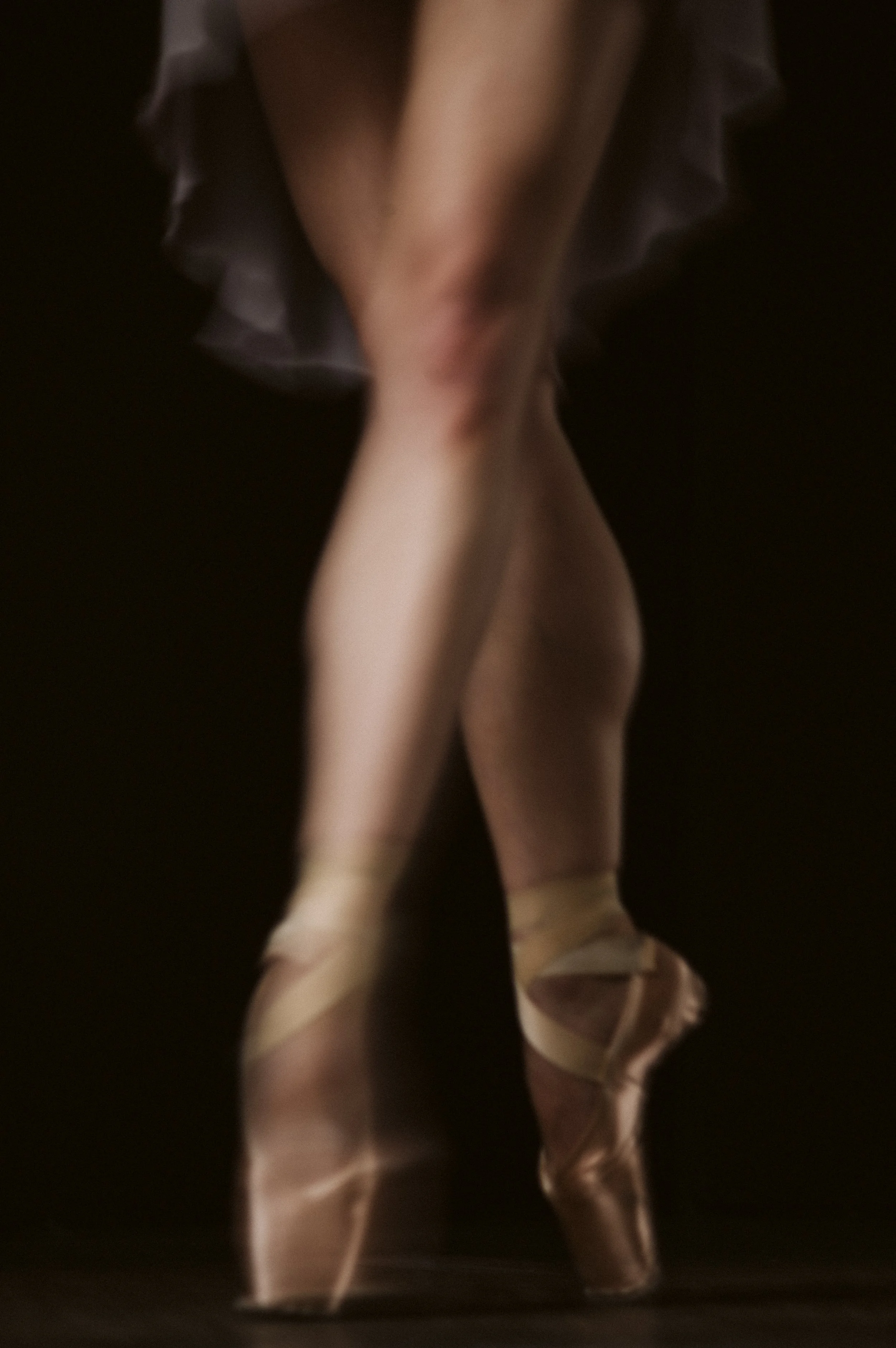 L1005436.jpg