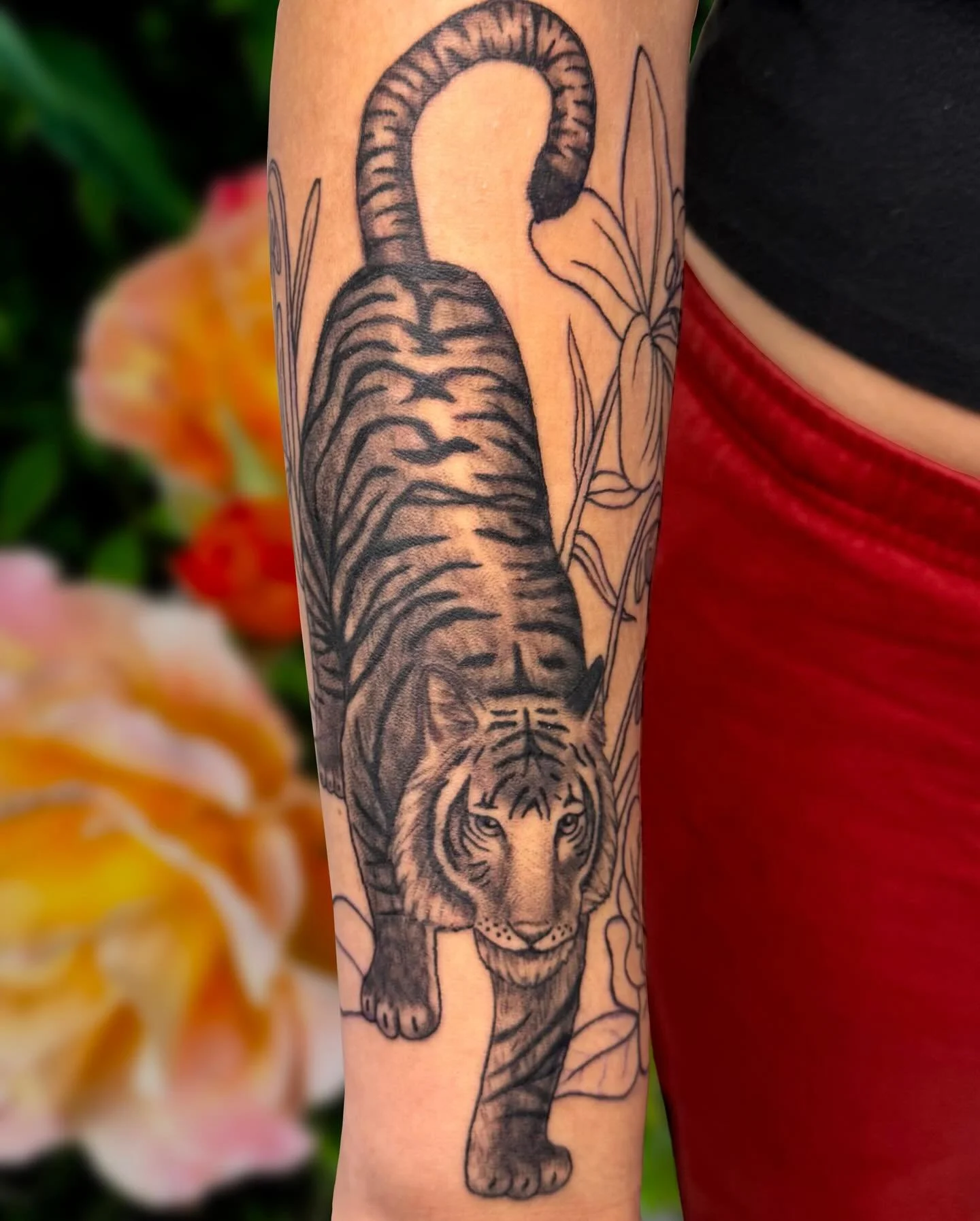 🐅1st session of this floral tiger half sleeve!💐I can not wait to add more and shade the flowers! 

#tattooshop #tattoo #tigertattoo #floraltattoo #halfsleeve #bng #bngink #blackandgrey #blackandgreytattoo #greshamtattoo #pdxtattoo #pnwtattoo