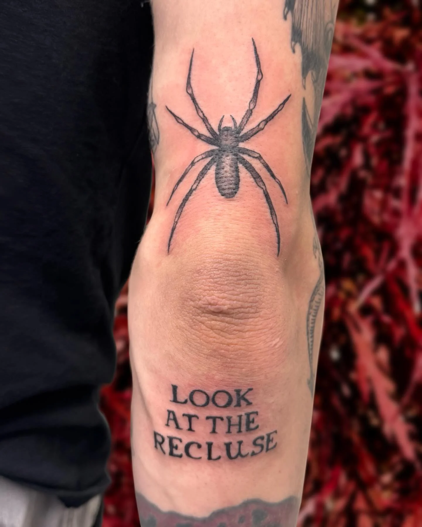 🕷️brown recluse tattoo! accompanied by some lyrics✨

#greshamtattoo #tattooartist #tattoo #pdxtattoo #pnwtattoo