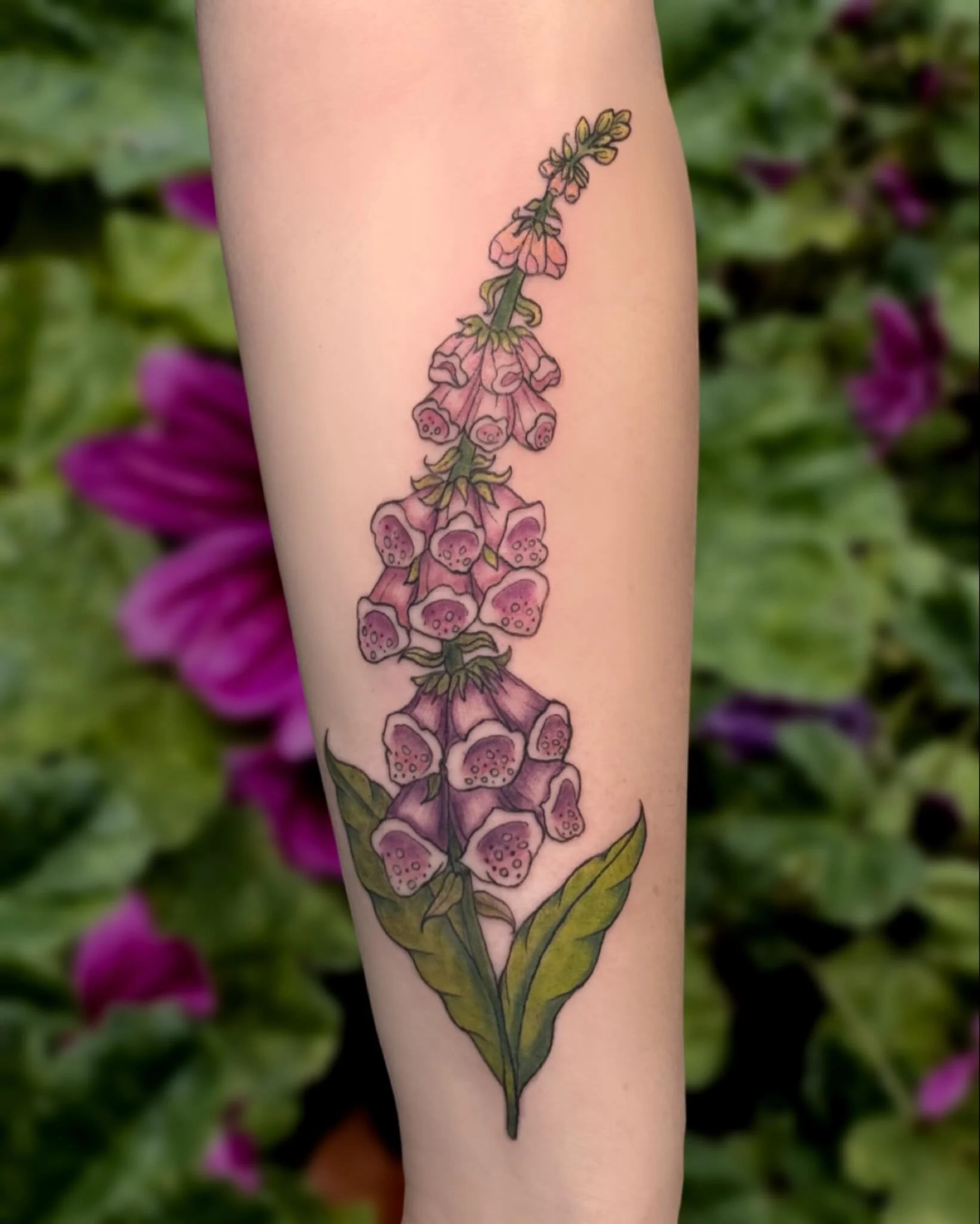🪻Foxgloves are my favorite 🧚&zwj;♂️ More florals please!! I would love to do more like this! My heart is full and my books are open 😼

#greshamtattoo #greshamtattooartist #floraltattoos #colortattoo #pdxtattoo