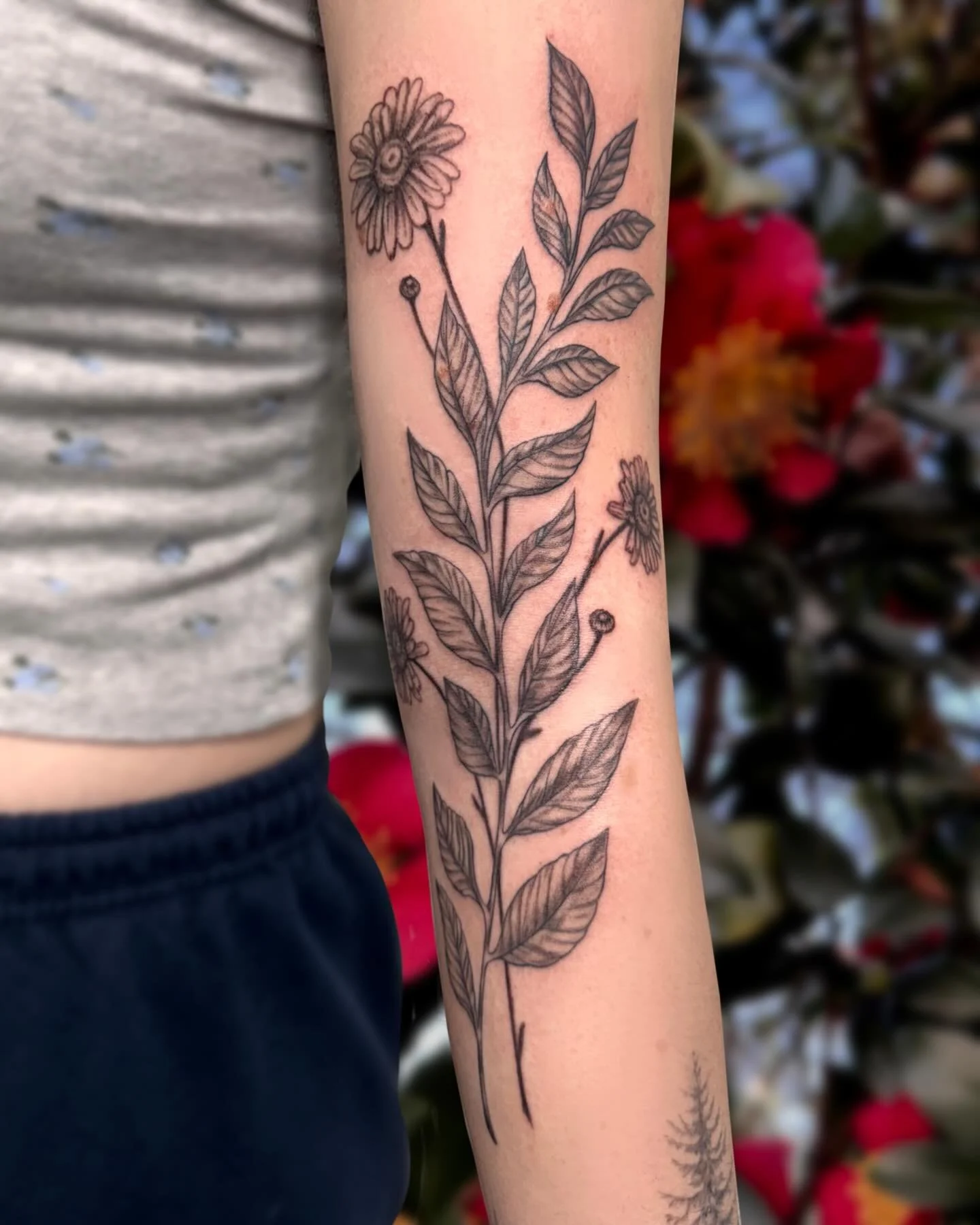I love this one!🌼I shaded the leaves and added some daisy&rsquo;s to give this piece some more substance and flow. Thank you @abbyyf for your trust in my vision!

#greshamtattoo #greshamtattooartist #pdxtattoo #floraltattoo #blackandgreytattoo