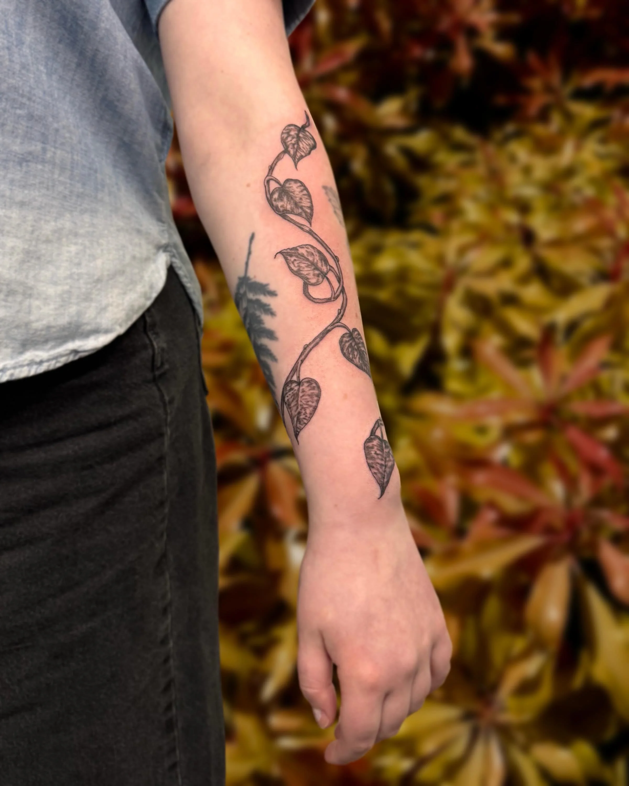 variegated pothos wrap!🍃

#greshamtattoo #greshamtattooartist #planttattoo #portlandtattoo #pdxtattoo
