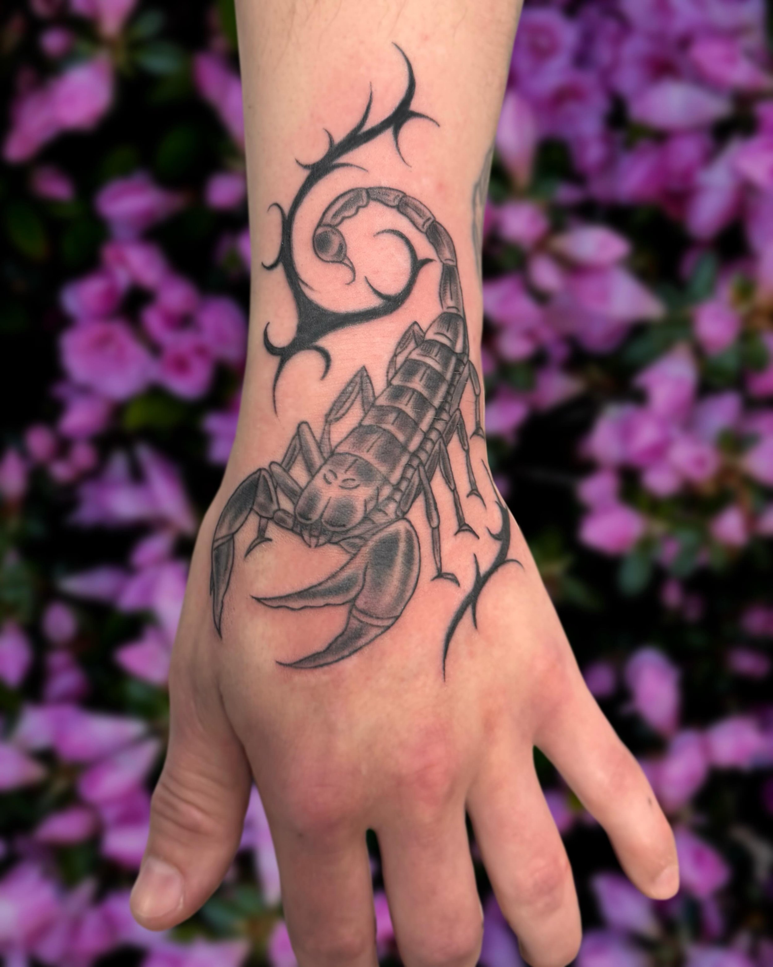 Scorpios with a scorpion tattoos rise up!

#greshamtattoo #greshamtattooartist #pdxtattoo #scorpiontattoo #portlandtattoo