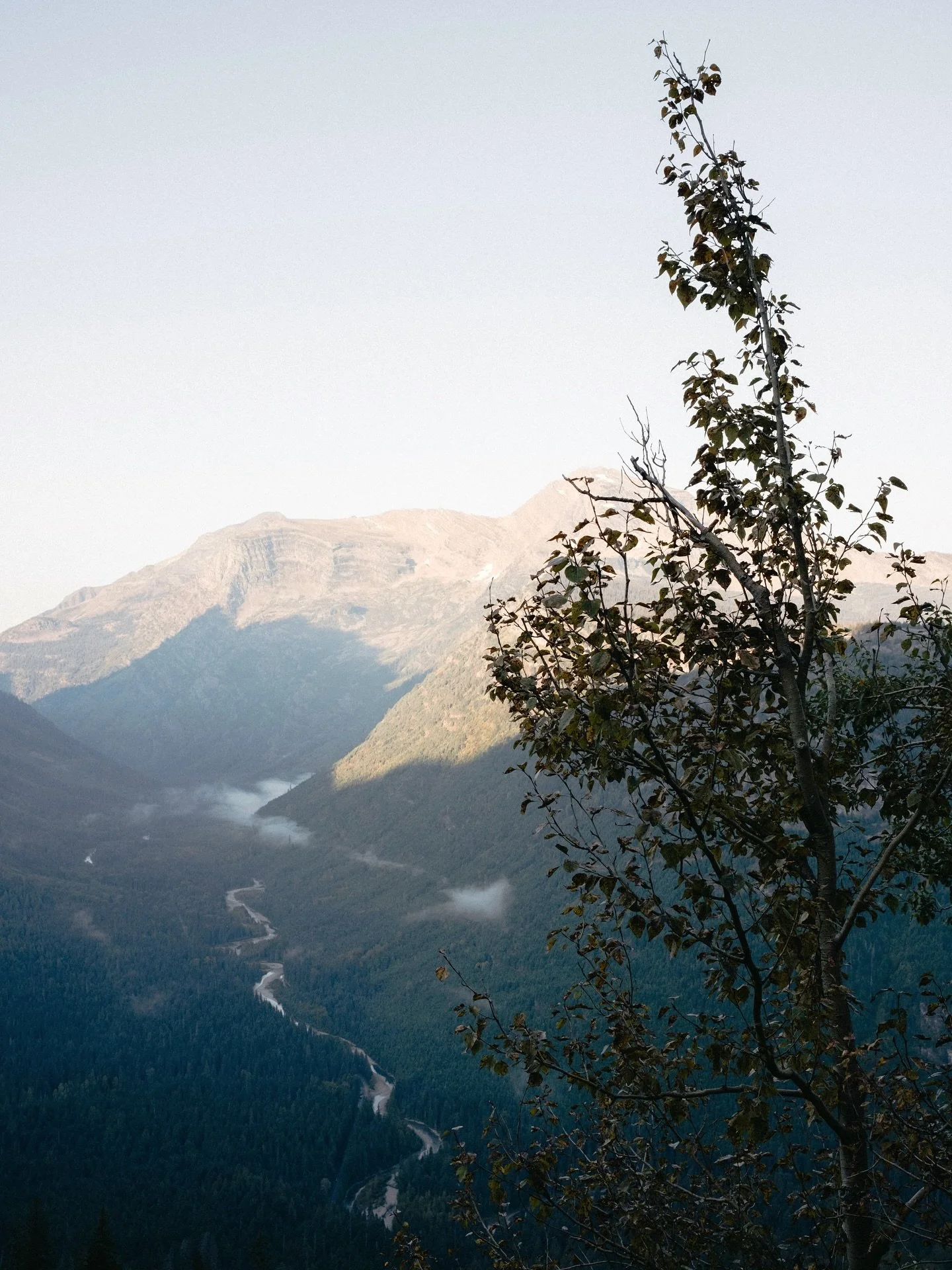 When I arrived in Montana in early March, I didn&rsquo;t realize how profoundly this place would shape me. I&rsquo;ve been cracked open, dismantled, and reconfigured. Call it a cocoon, a place of retreat and unbecoming.

My time in Montana has inspir