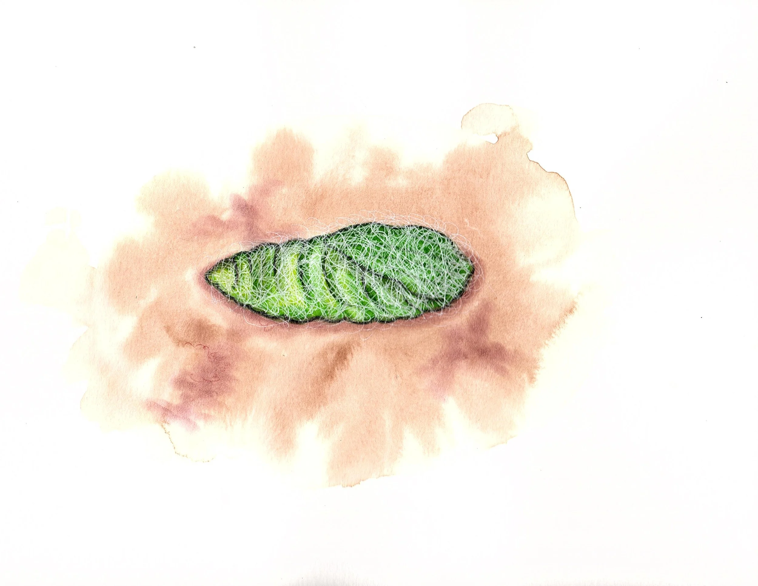 Summer Dreaming  Copyright © 2023 by Melissa B. Rooney  All Rights Reserved.