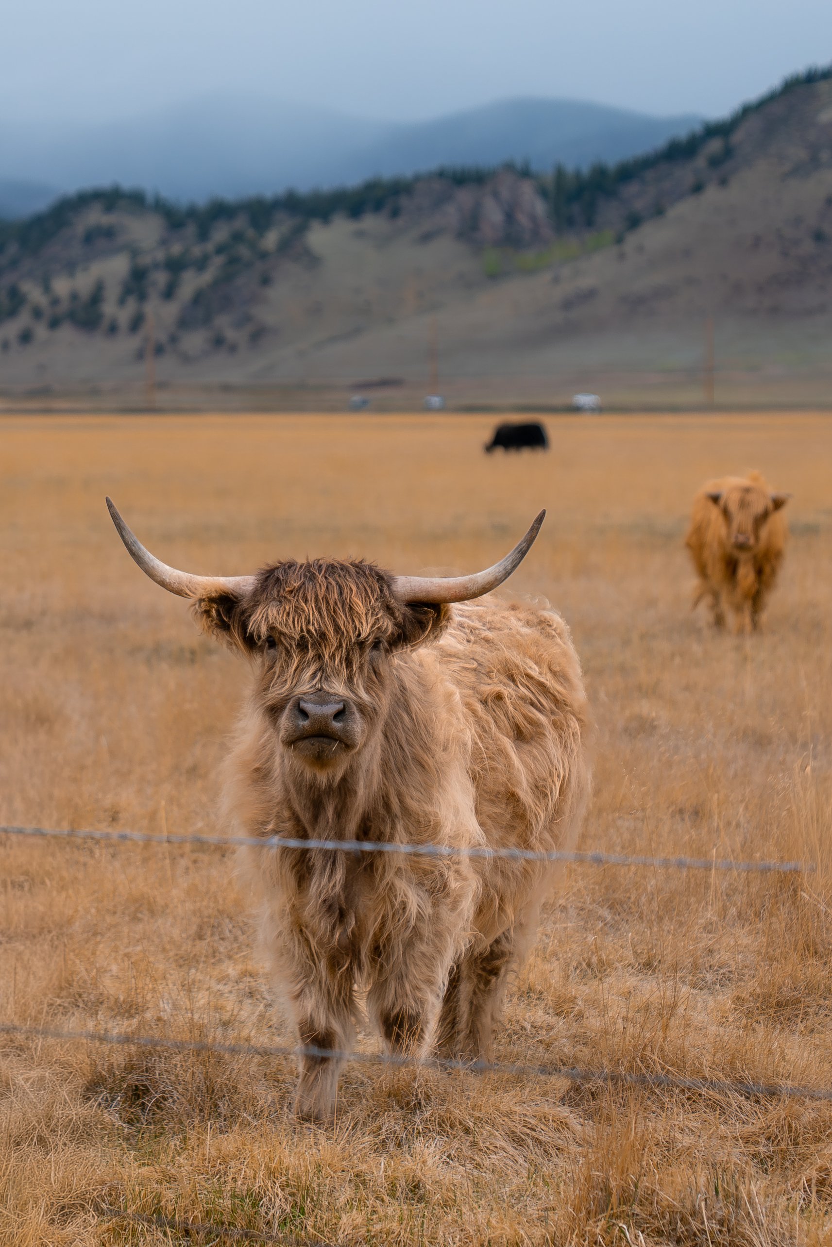 A7300213-2.jpg