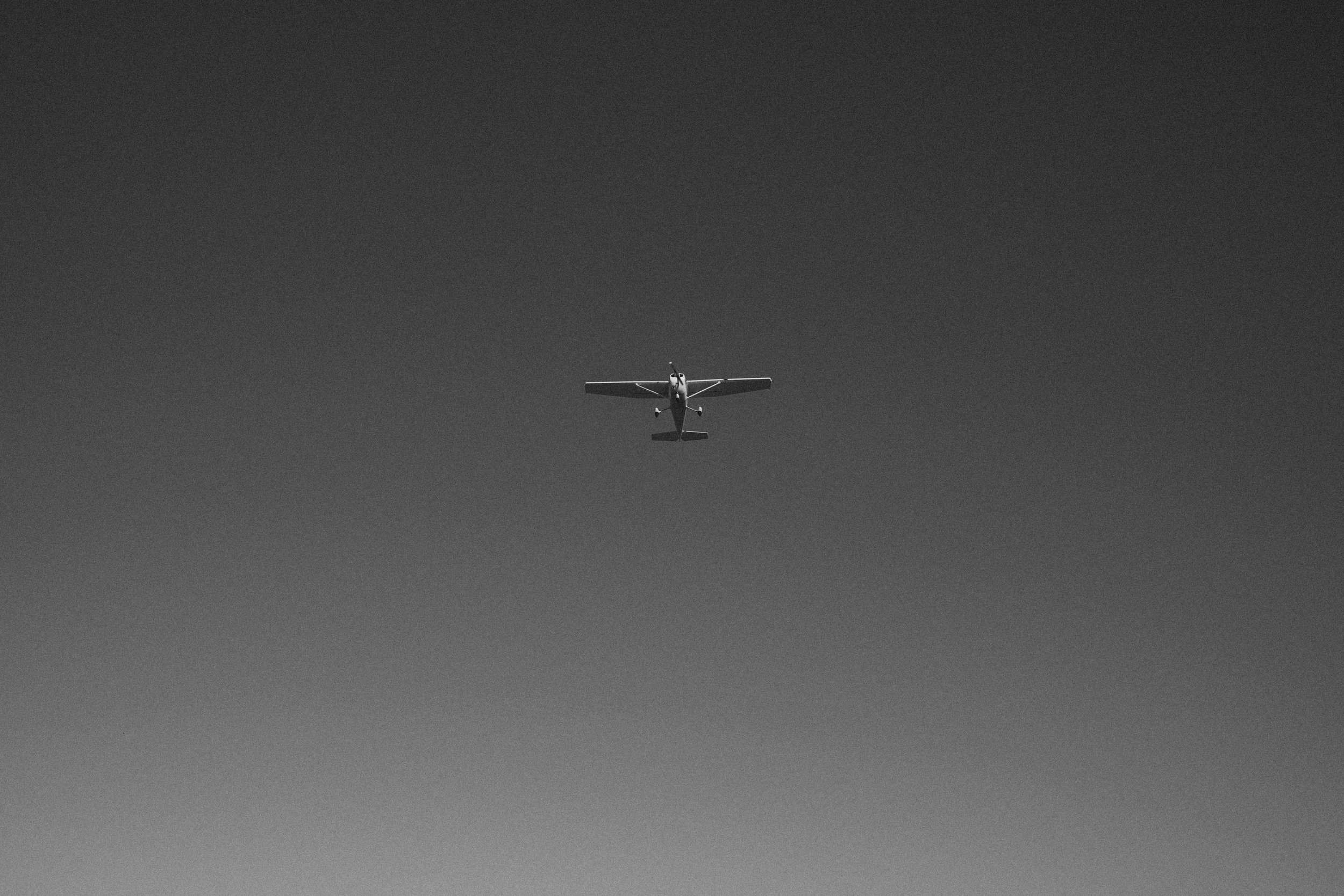 _DSF8595.jpg