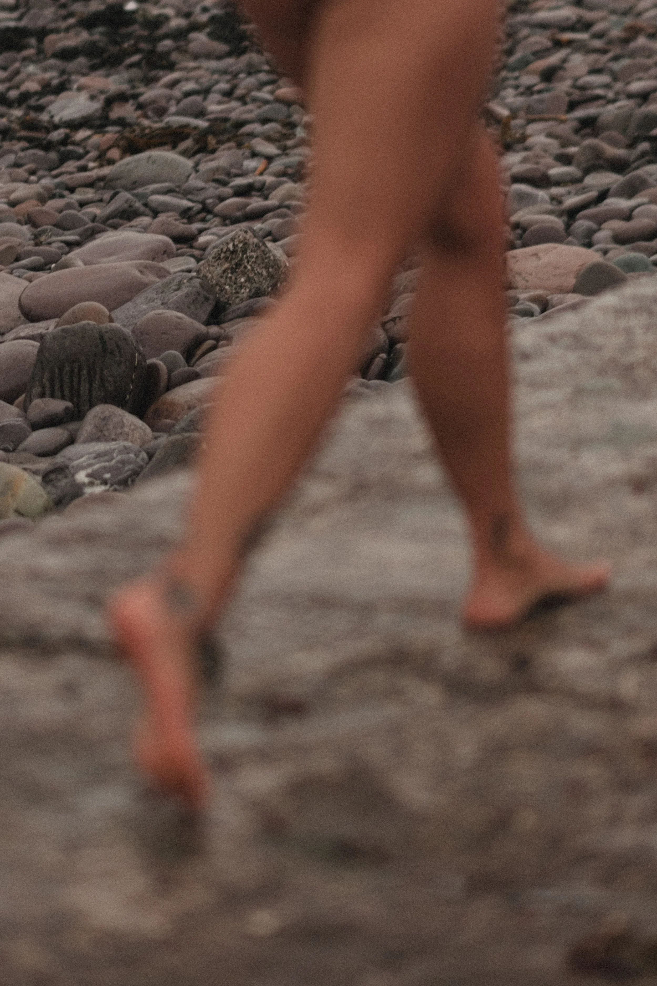 DSCF2693.jpg