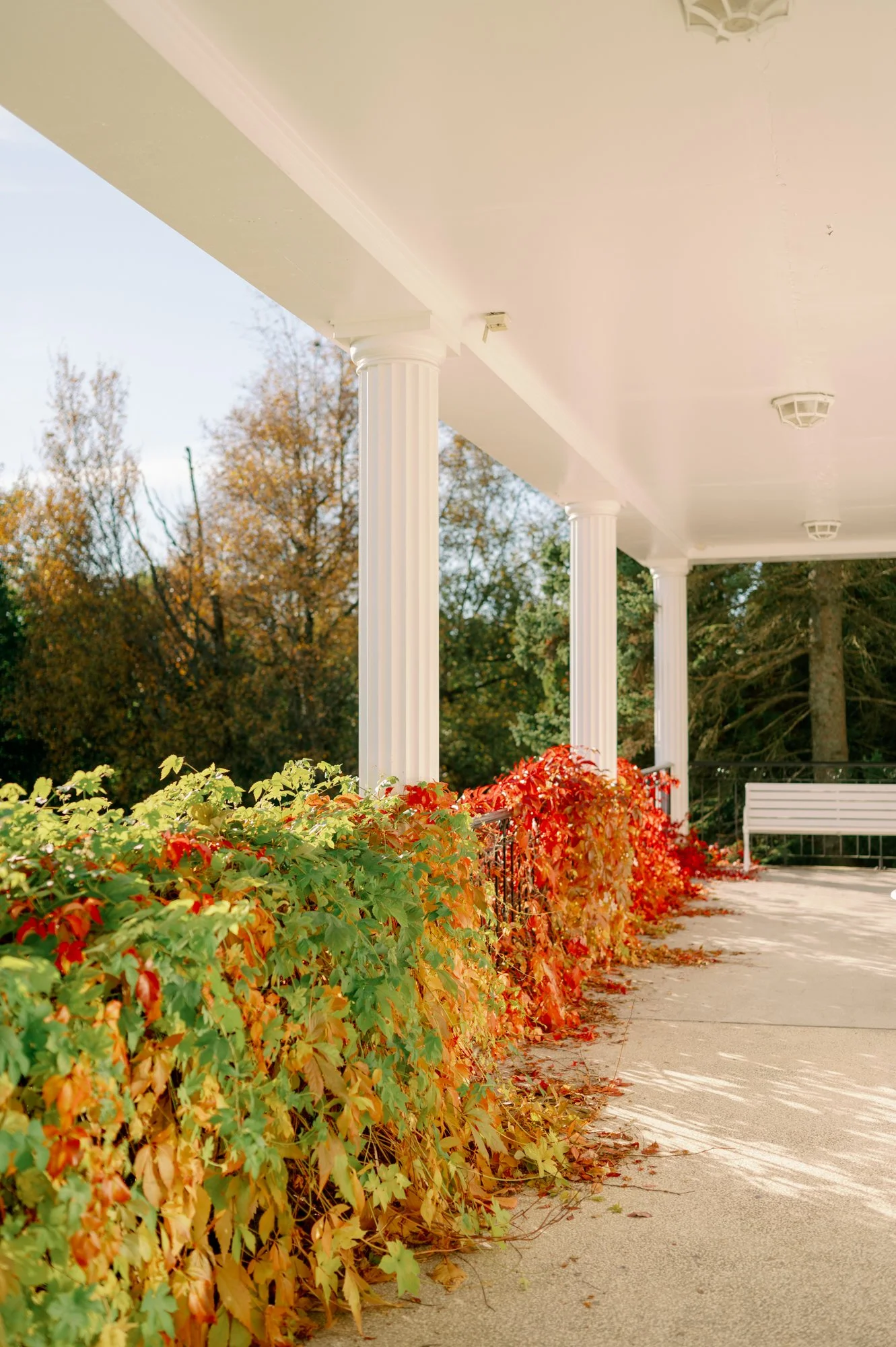 TinaRekdal_Bryllup_Bryllupsfotograf_Hosbjor_Hamarbryllup (108).JPG
