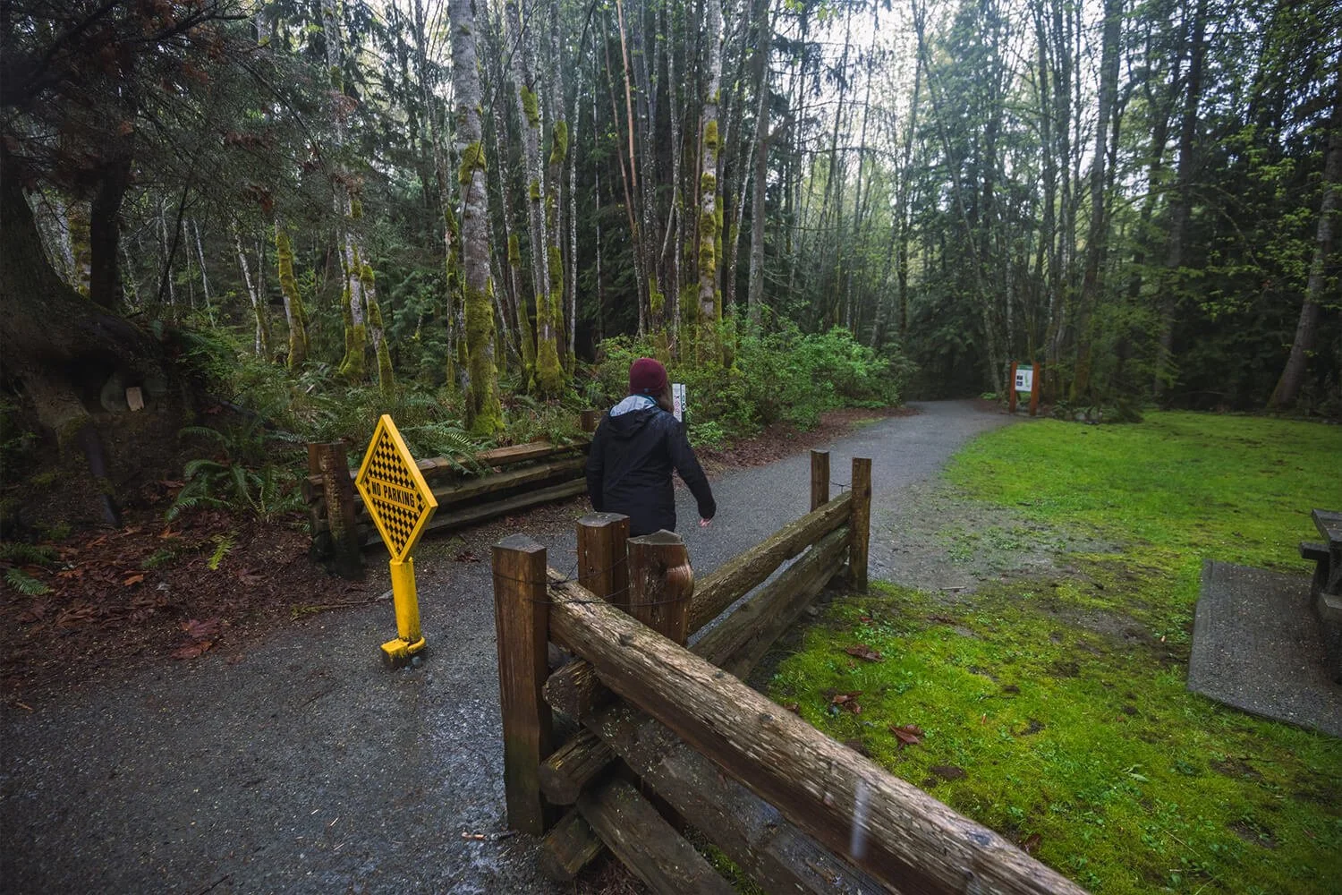 How to Visit STOCKING CREEK FALLS Near NANAIMO — Seeing the Elephant