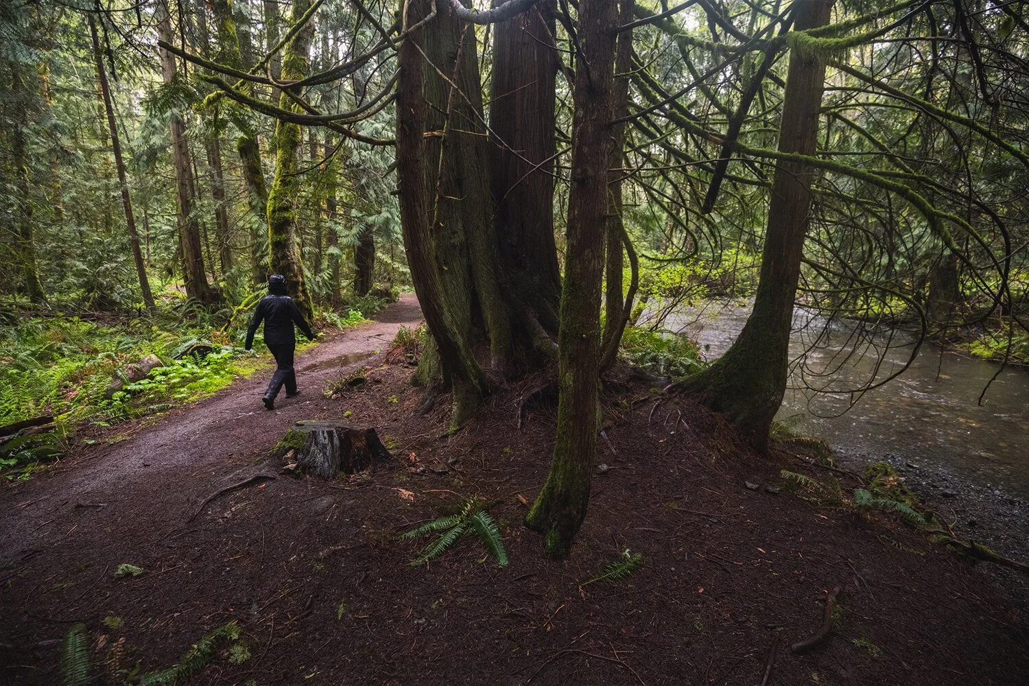 How to Visit STOCKING CREEK FALLS Near NANAIMO — Seeing the Elephant