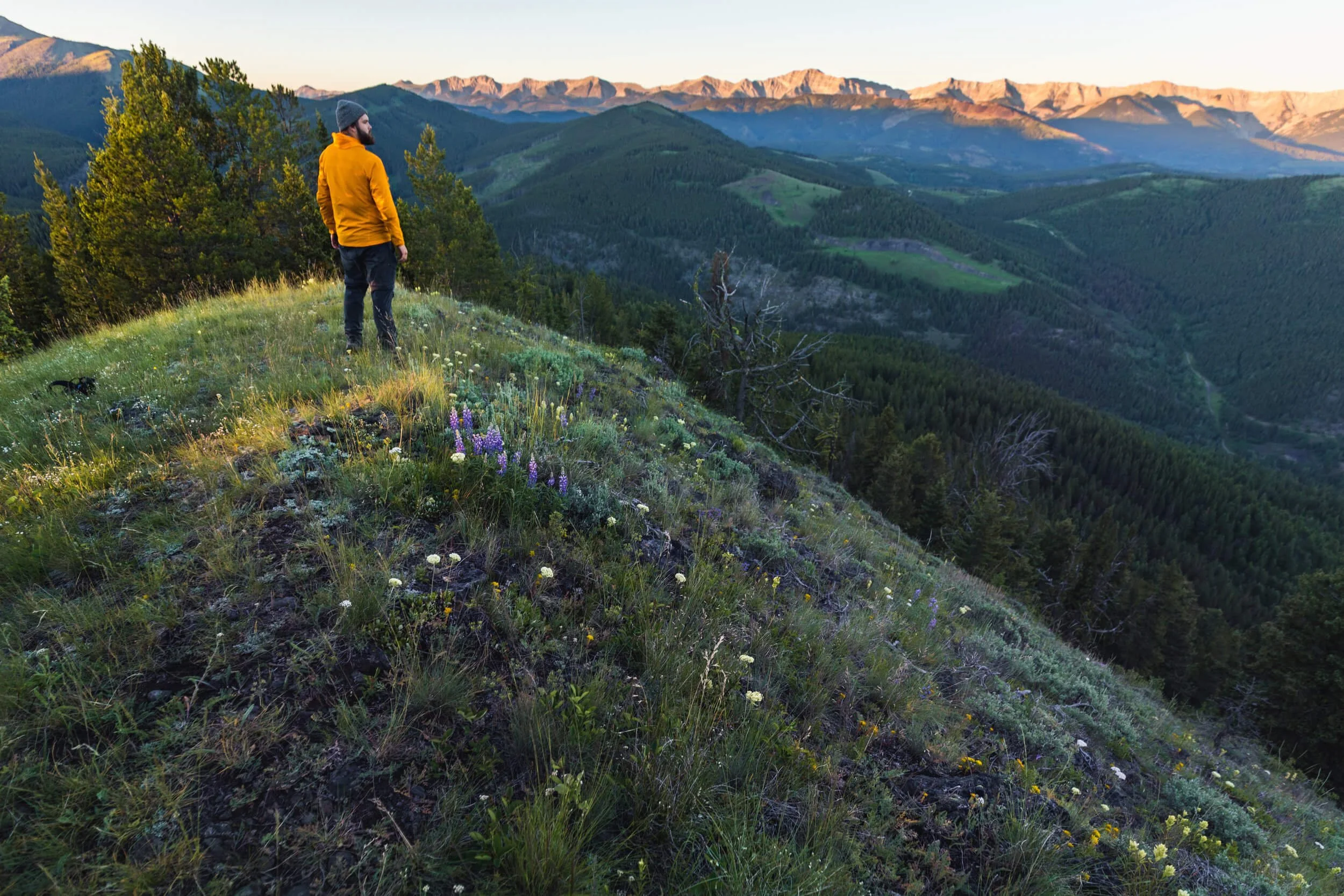 How to Hike WEDGE MOUNTAIN in the CROWSNEST PASS — Seeing the Elephant