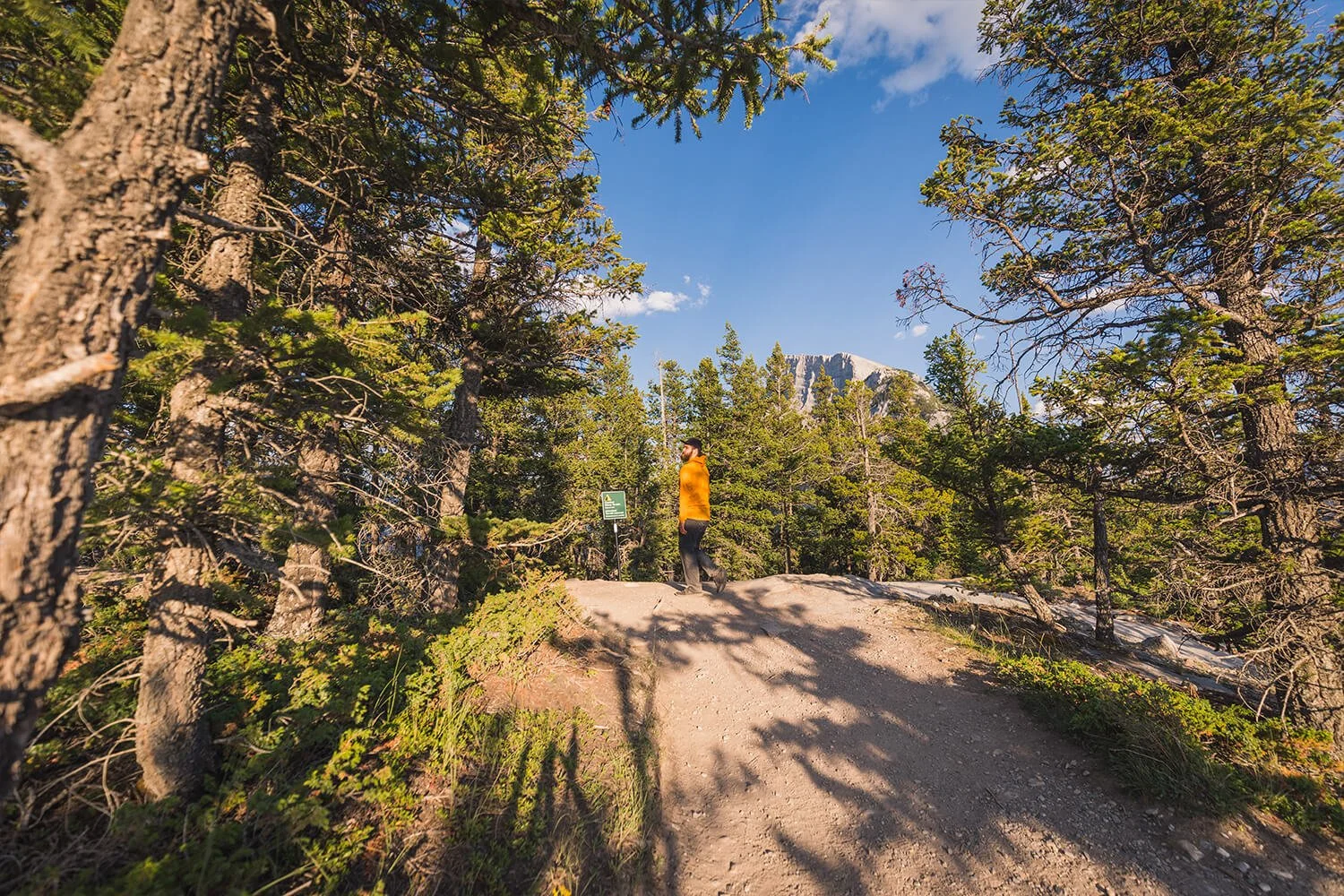 How to Hike TUNNEL MOUNTAIN in BANFF NATIONAL PARK — Seeing the