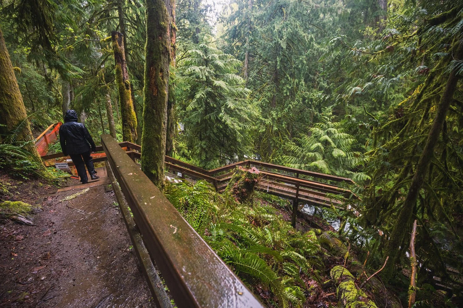 How to Visit STOCKING CREEK FALLS Near NANAIMO — Seeing the Elephant