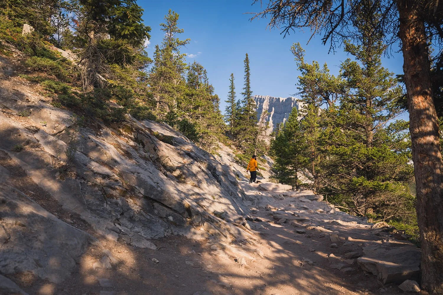 How to Hike TUNNEL MOUNTAIN in BANFF NATIONAL PARK — Seeing the