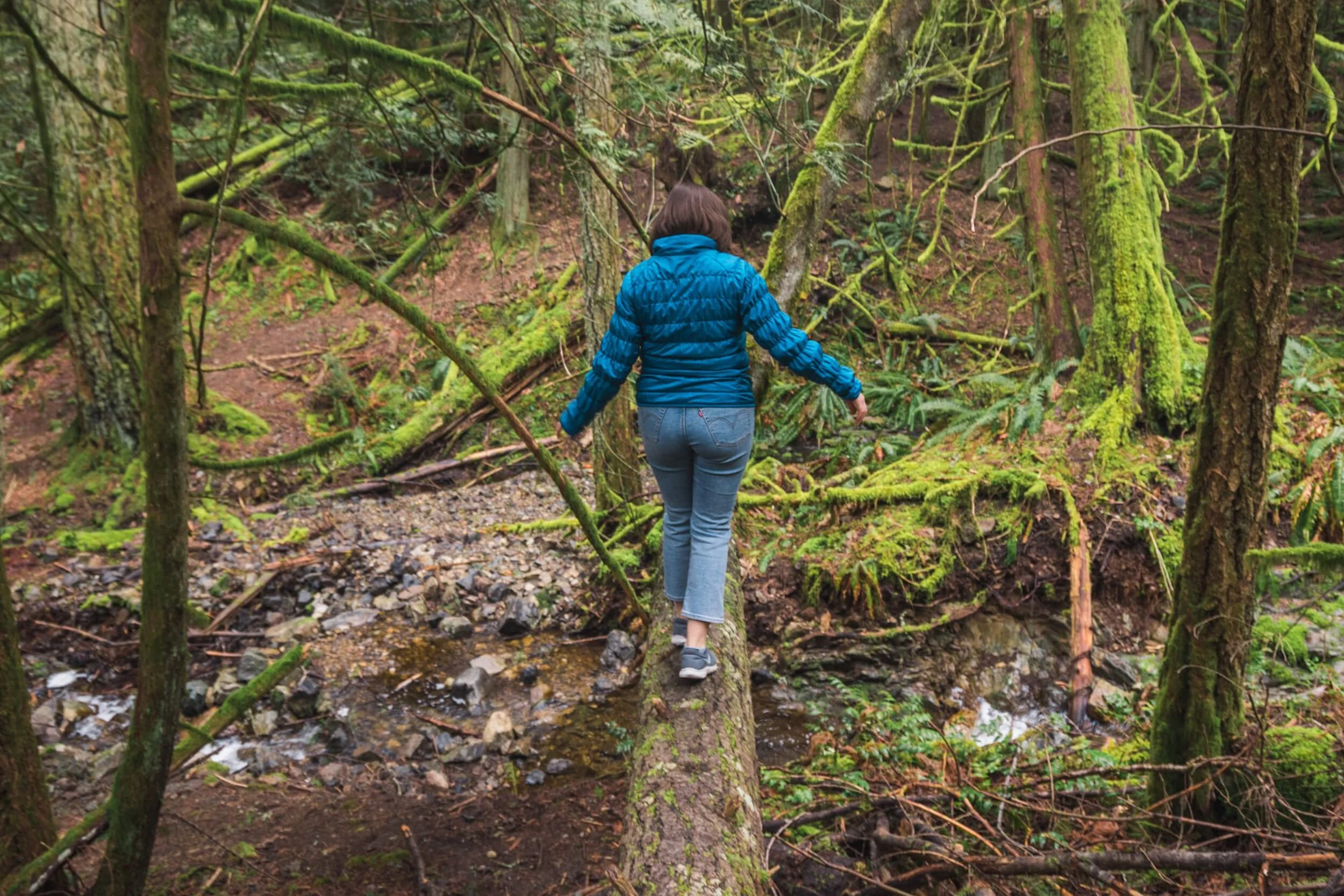 How to Hike to DURRANCE FALLS Near VICTORIA — Seeing the Elephant ...