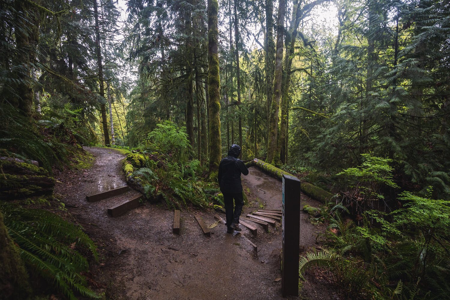 How to Visit STOCKING CREEK FALLS Near NANAIMO — Seeing the Elephant