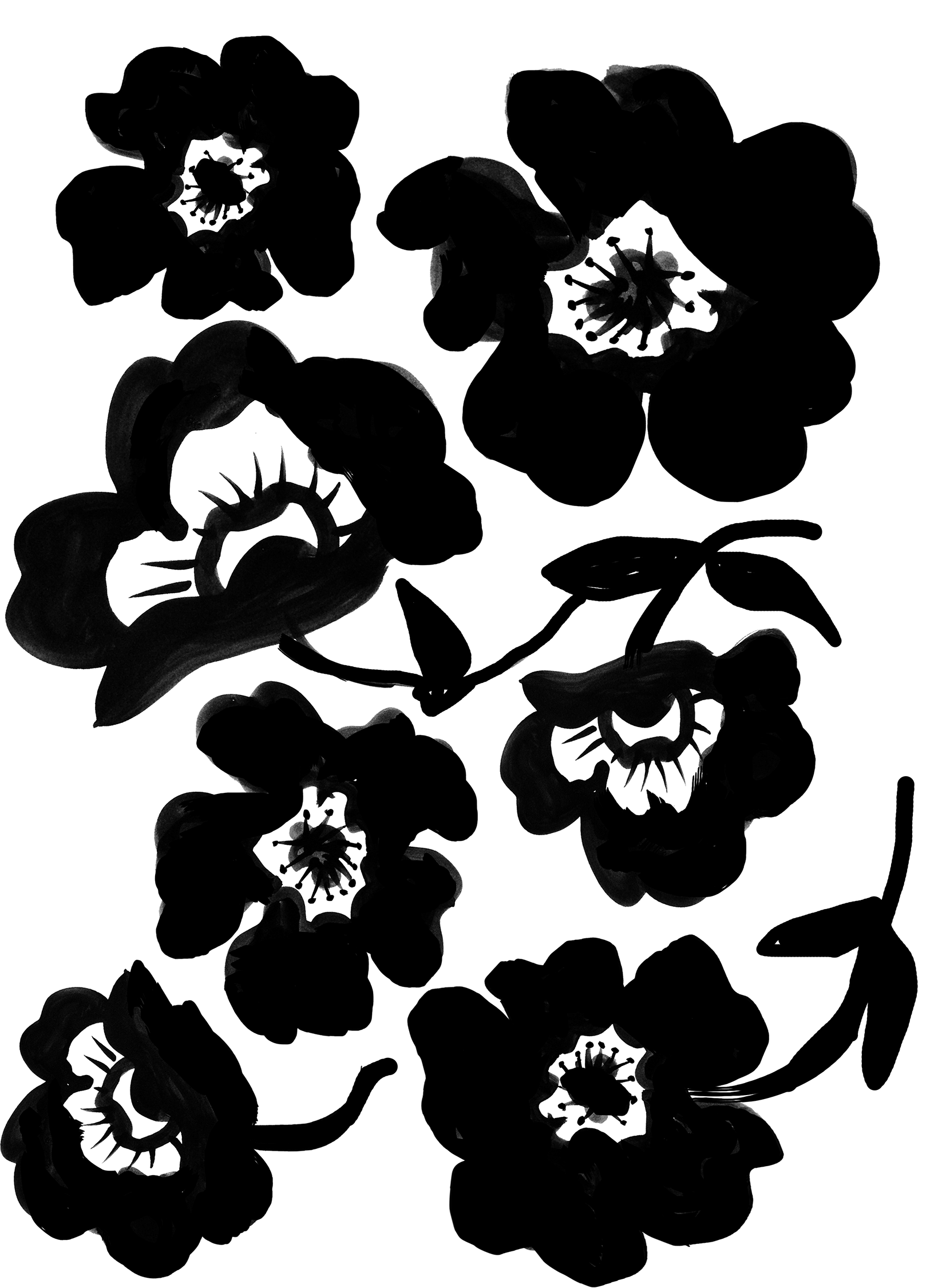 floral.png
