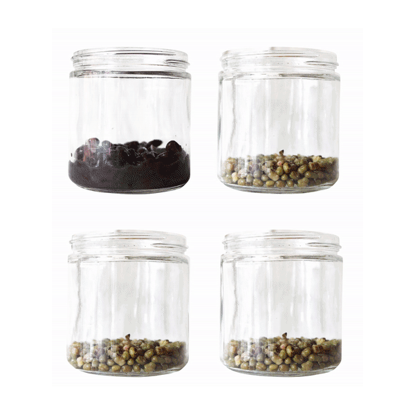 Antidote Apothecary & Tea Bar