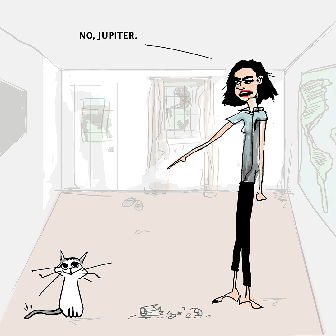 A cartoon of a person pointing at a cat named Jupiter, with broken pottery on the floor.