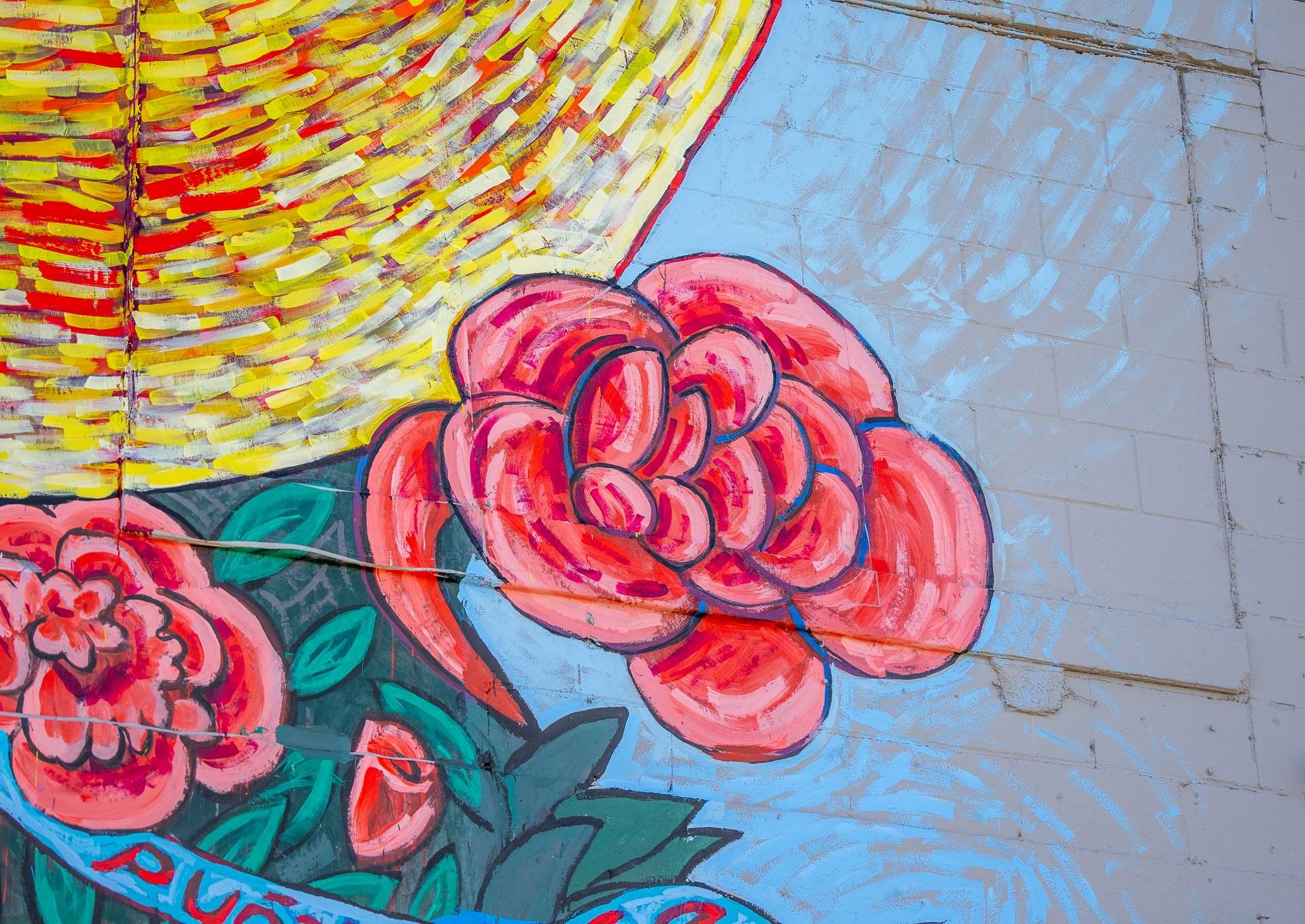 Aaron Johnson-Ortiz — Chroma Zone Mural & Art Festival