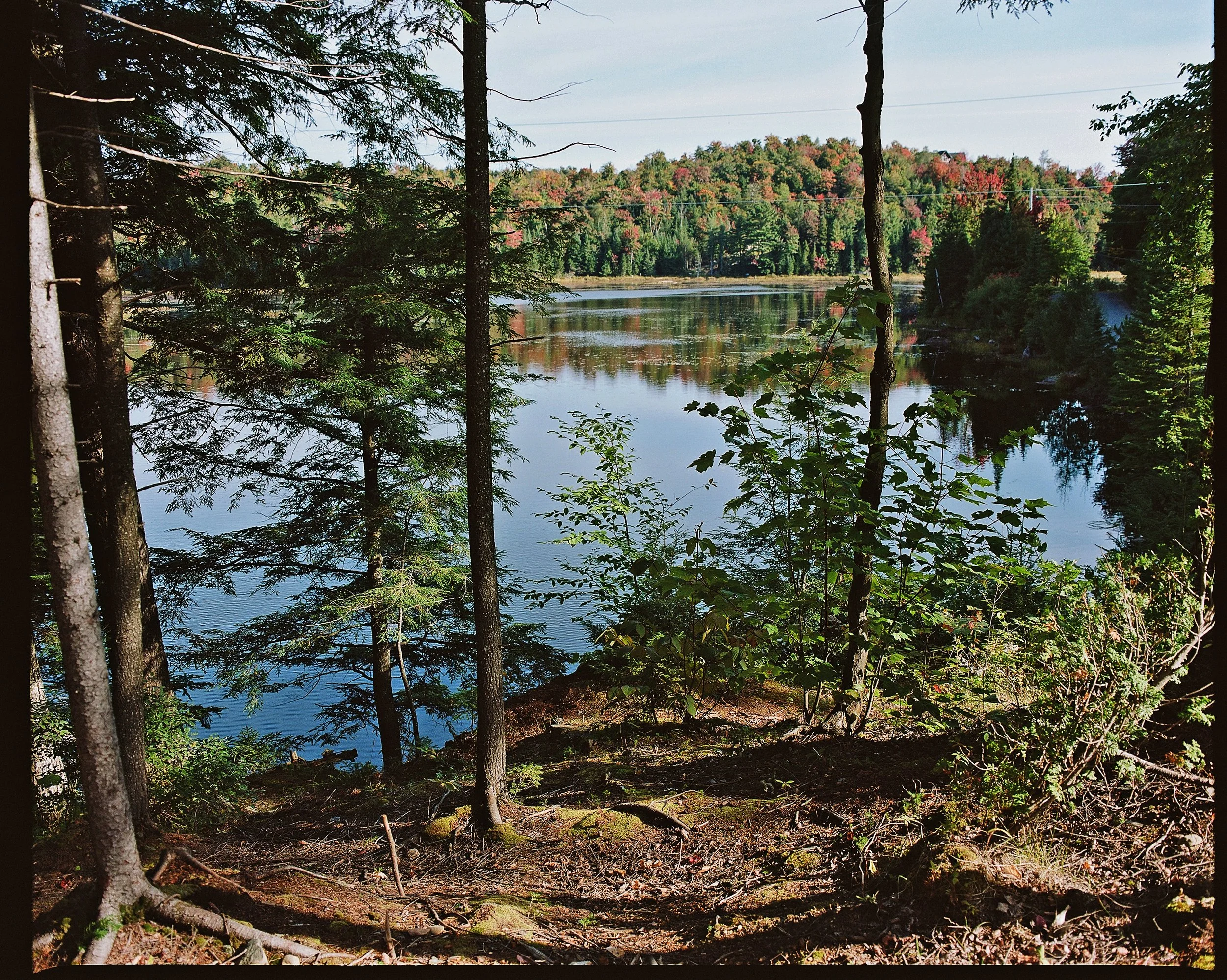 Quebec, QC / Kodak Portra 400 / Mamiya RB67