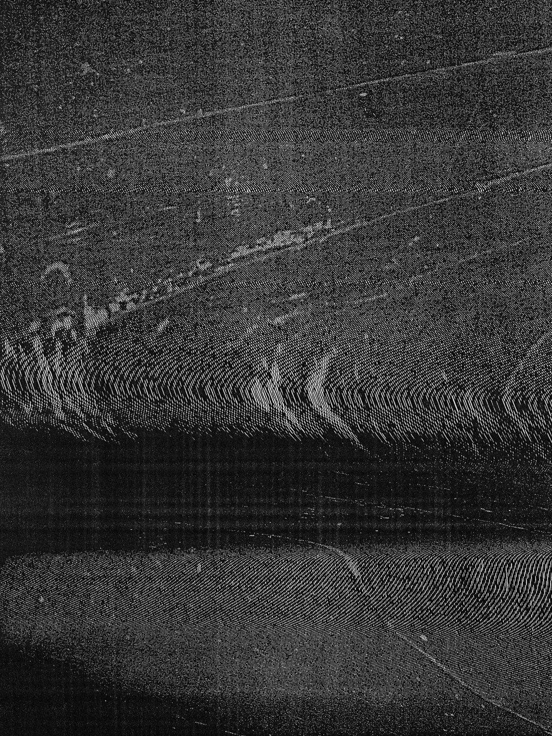 14_07.jpg