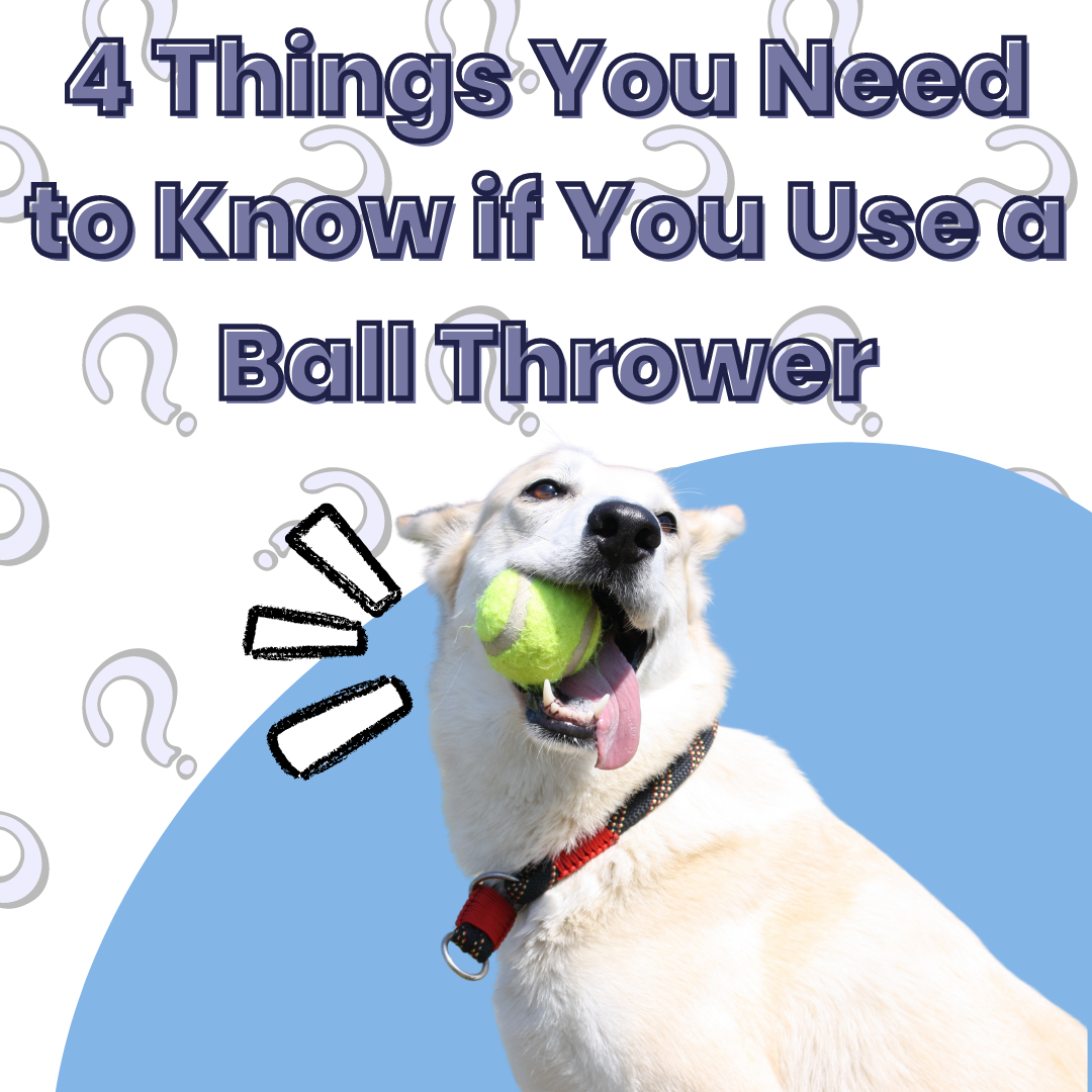 4 things you need to know if you’re using a ball thrower 