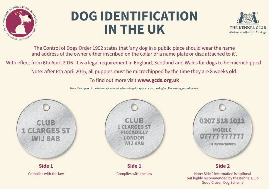 All about tags — Toby Duncan Dogs