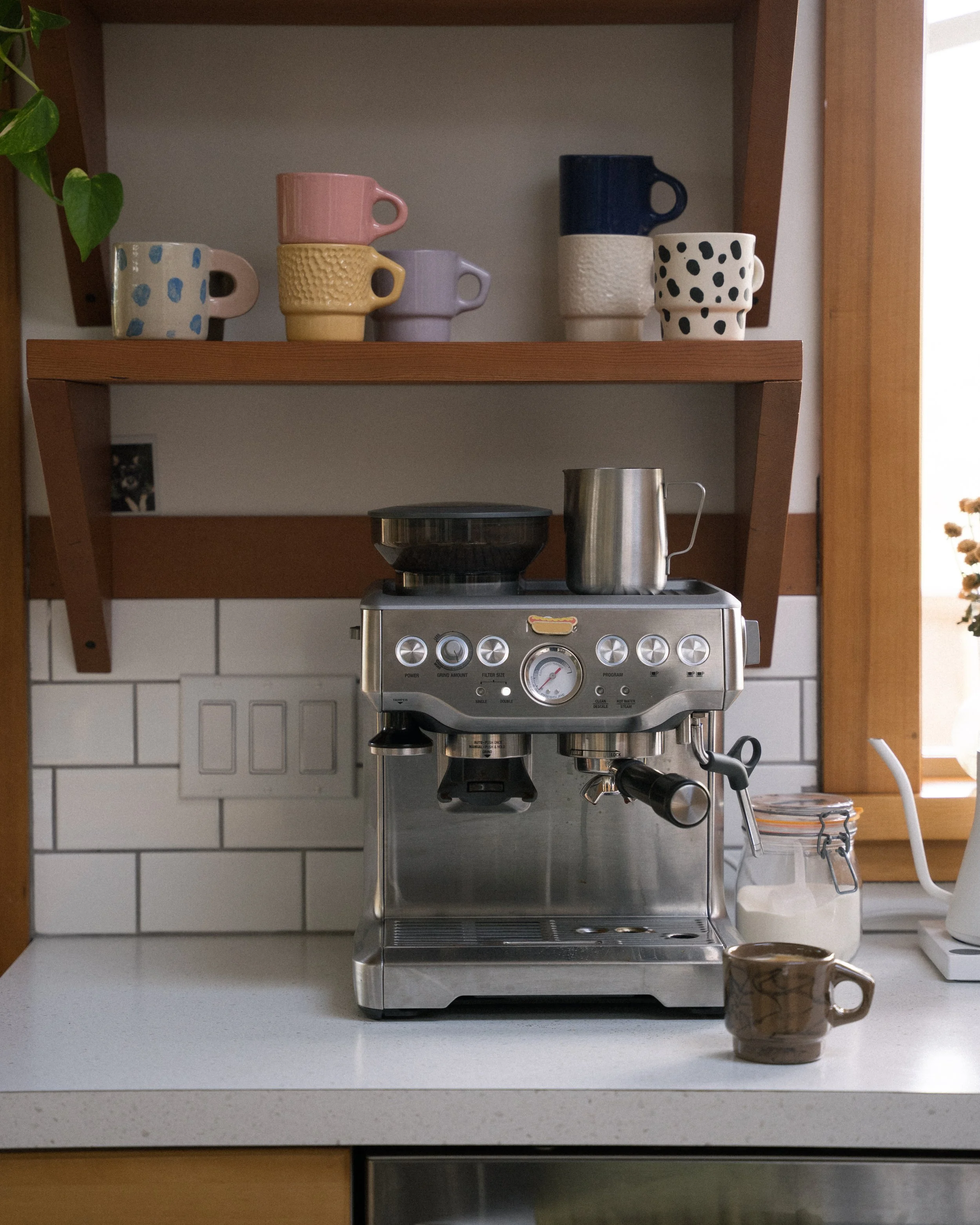 walnut-all-over-7oz-7.jpg