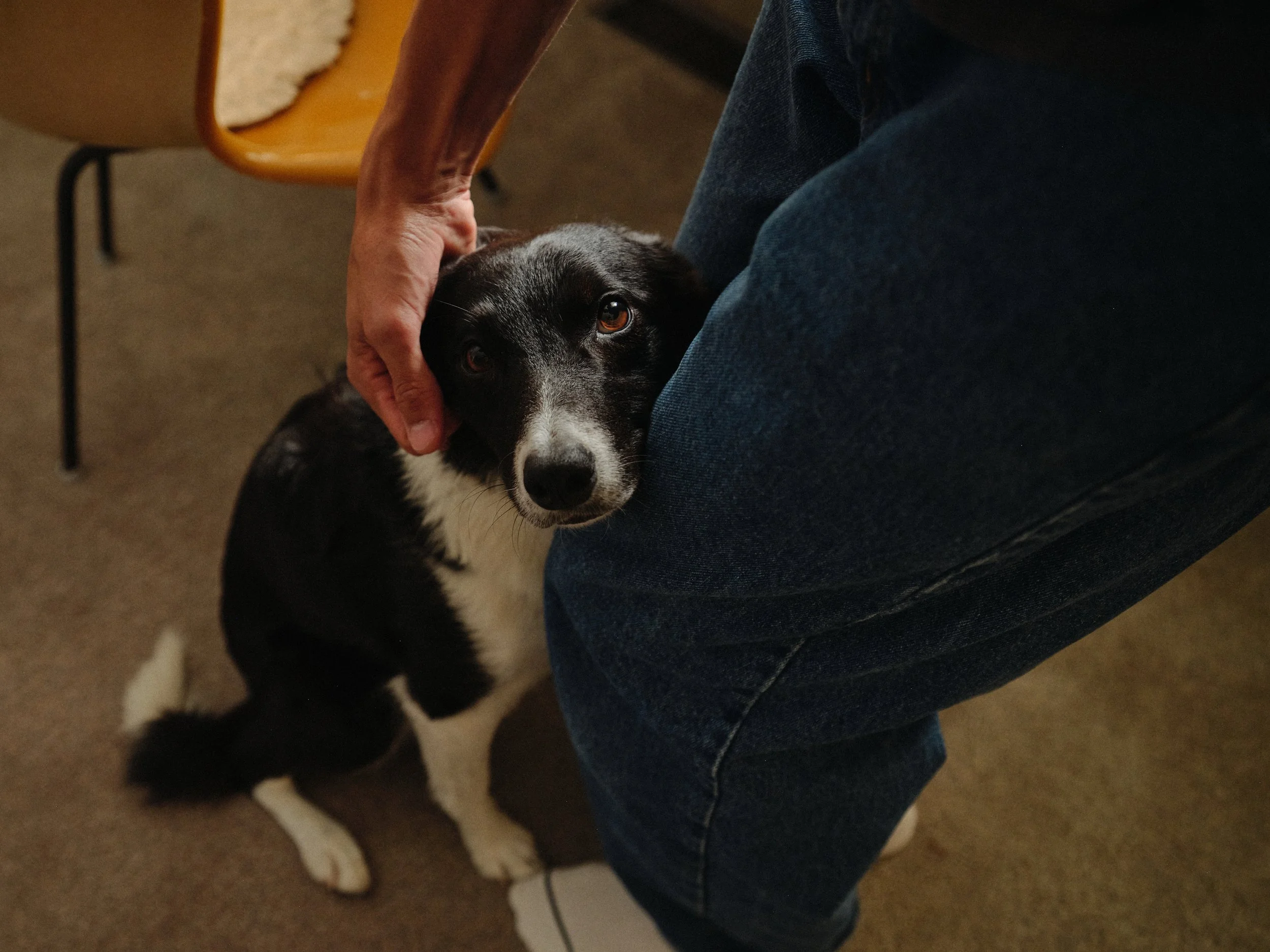 Web Res_Location Scout_240919_TurboTax Tax Experts__CTPX5450.JPEG