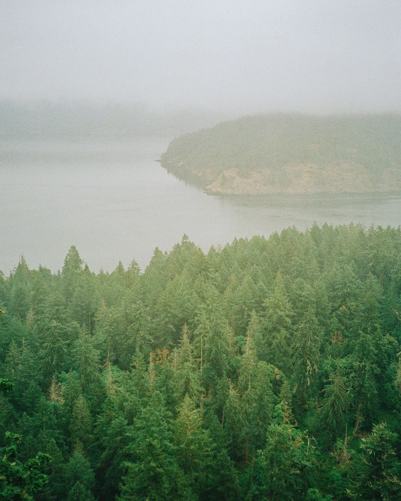 a5925fe3-9832-4752-b895-e89e621eb916.JPG